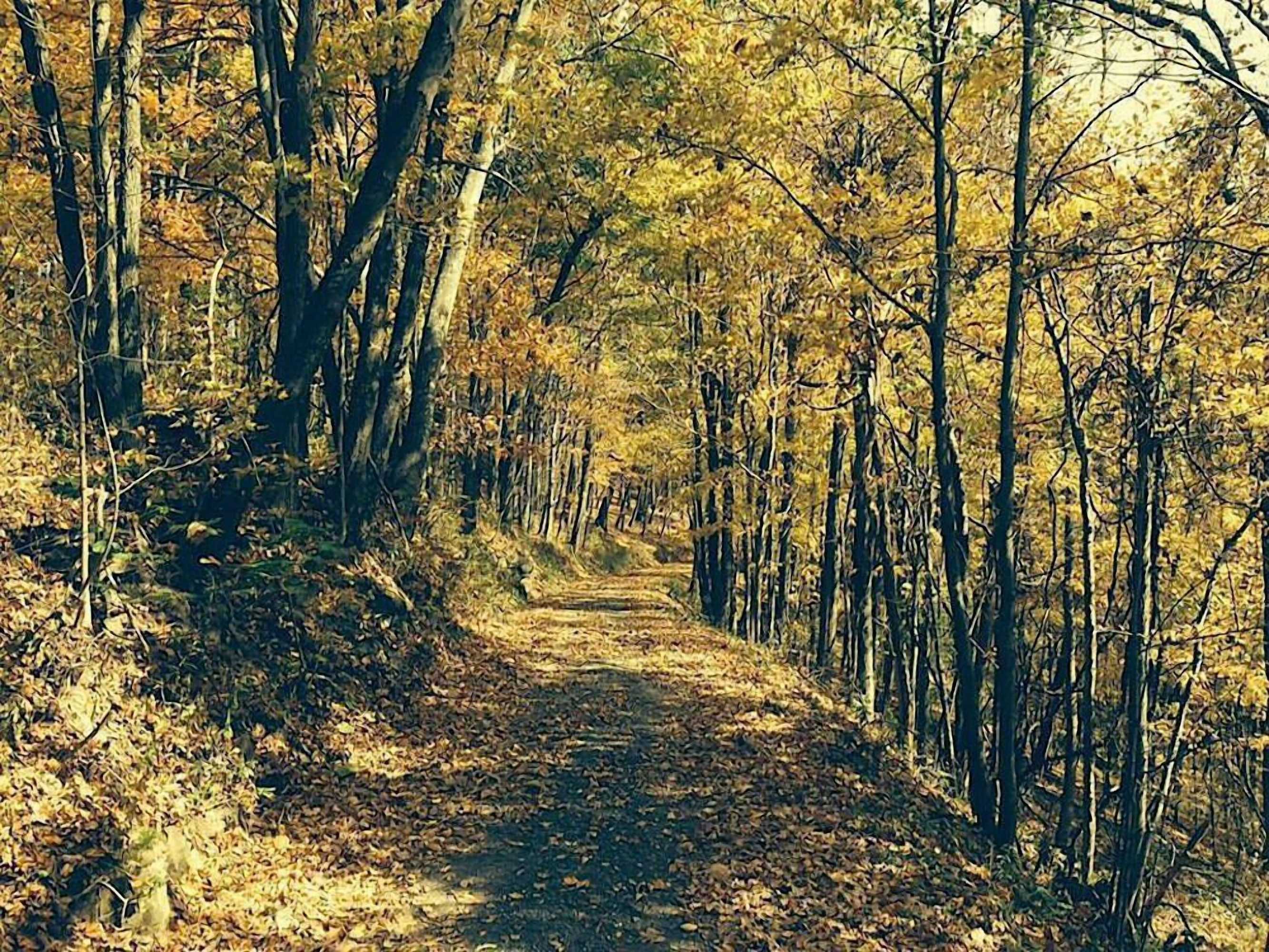 Gift card for River House Lodge