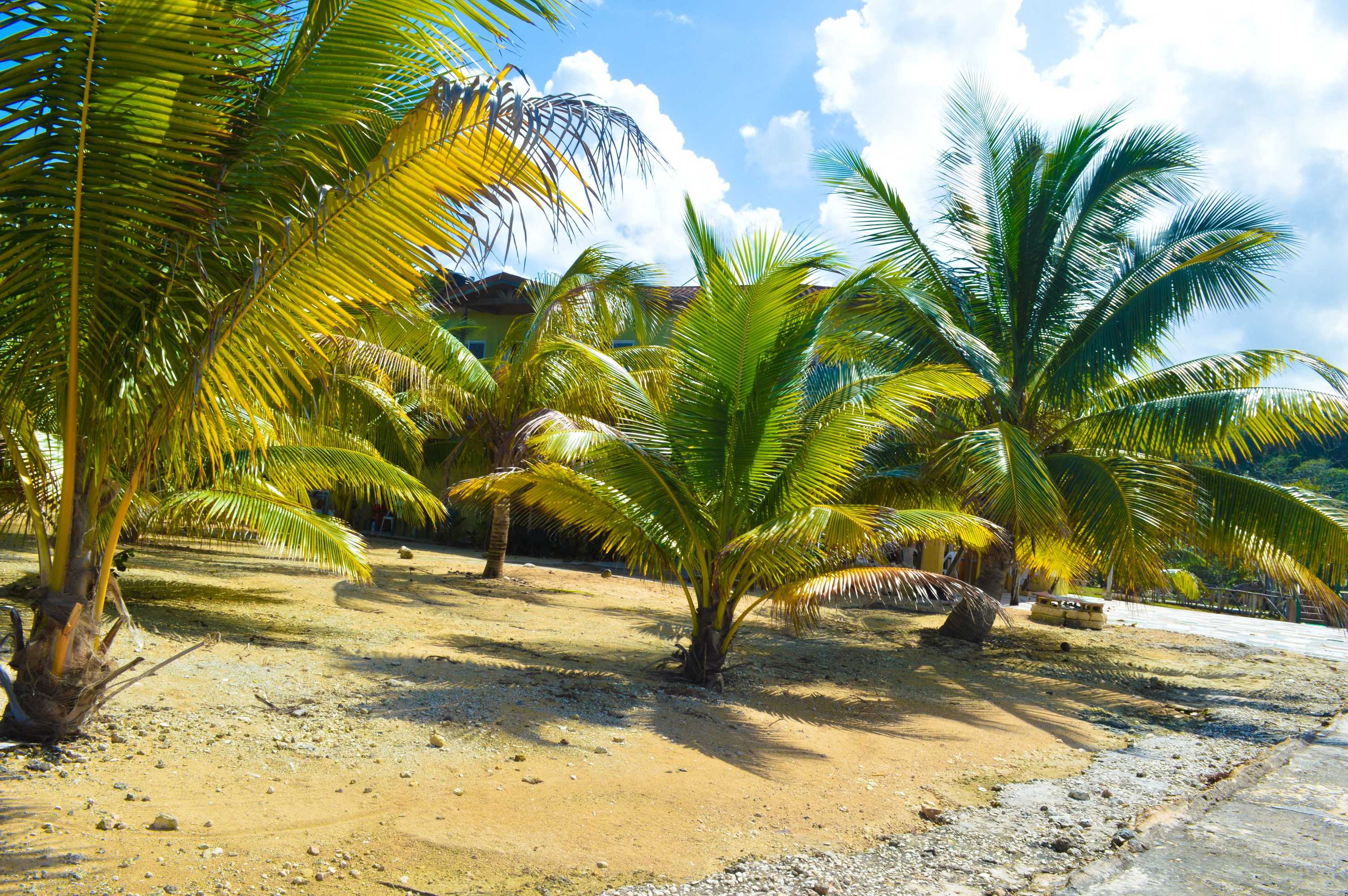 Gift card for Le Mer Guest House & Villa - Lucea Gift card for Le Mer Guest House & Villa - Lucea