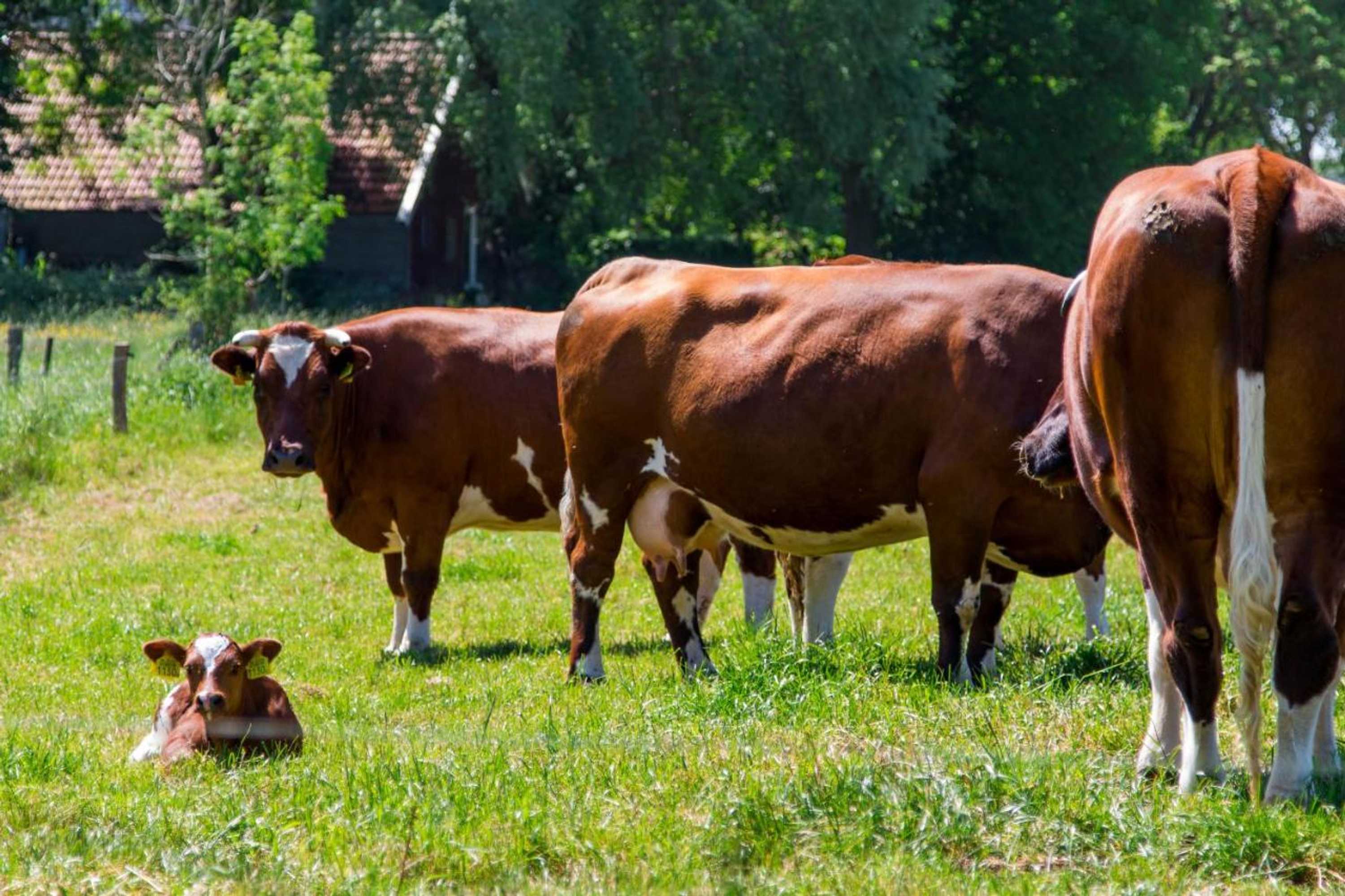 Gift card for Camping 