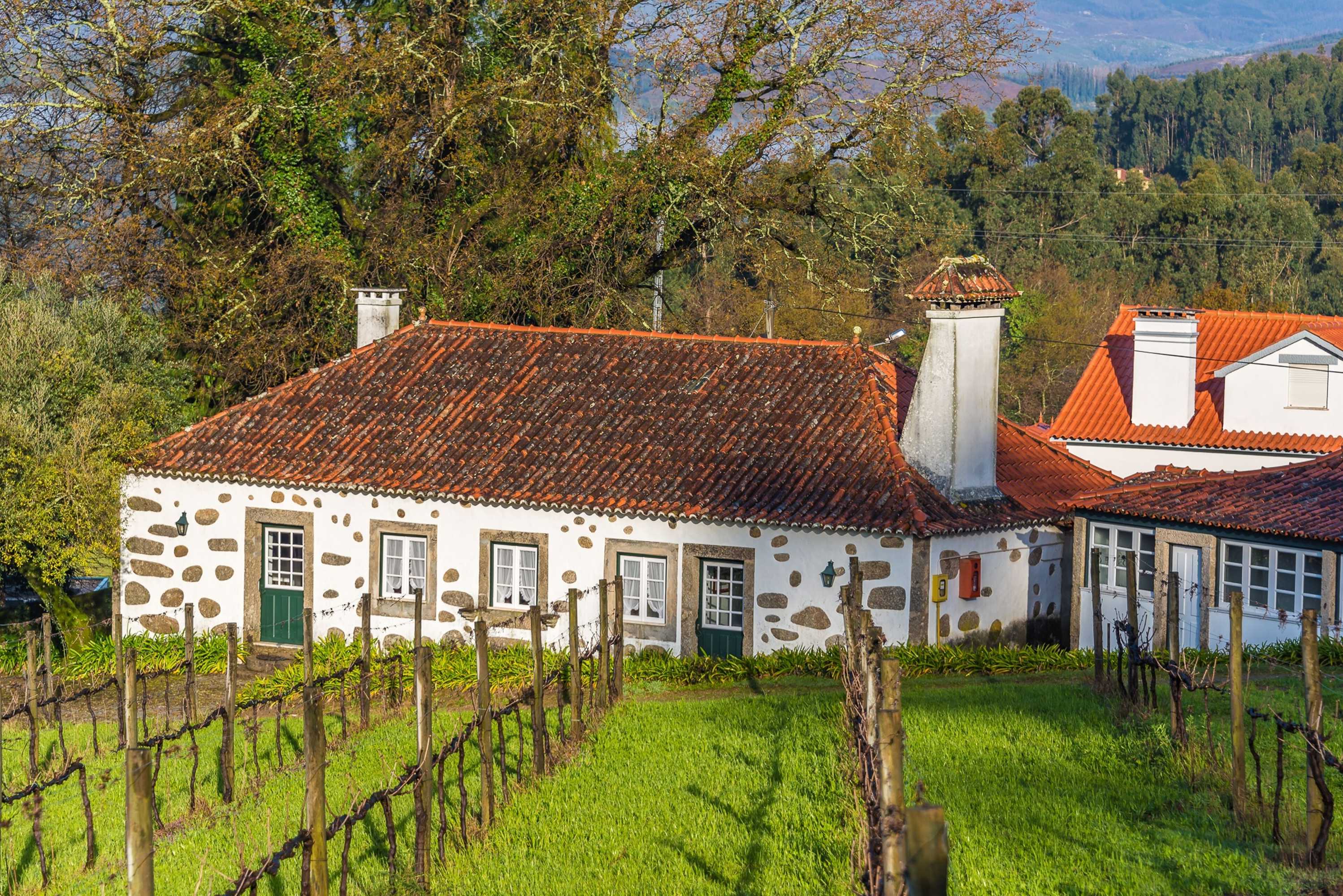 Gift card for Paço de Calheiros