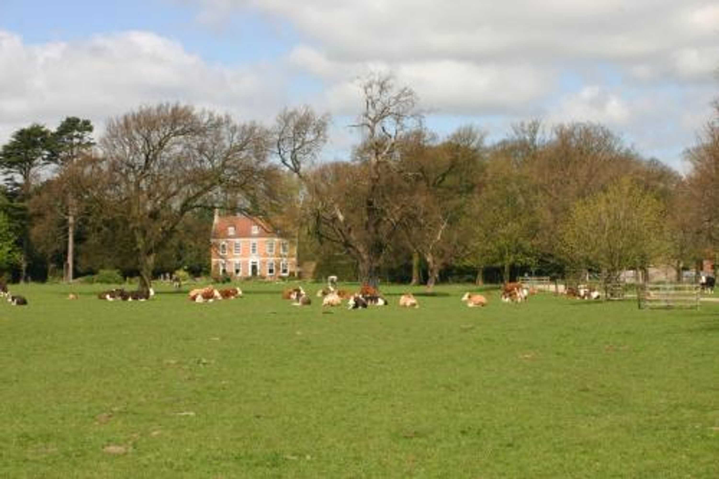 Gift card for Brackenborough Hall Coach House - Stables Gift card for Brackenborough Hall Coach House - Stables