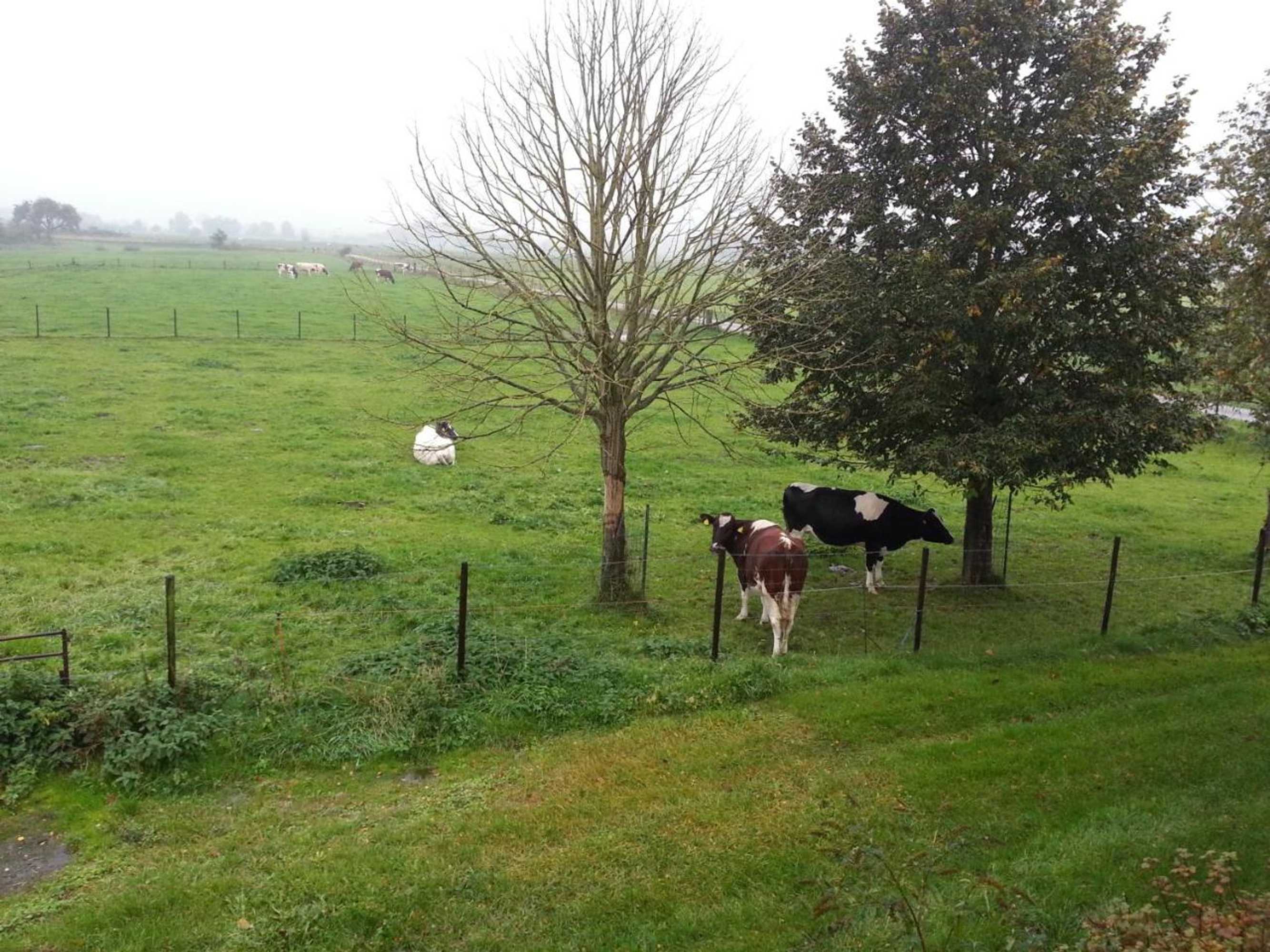 Gift card for B&b de Rivierduin