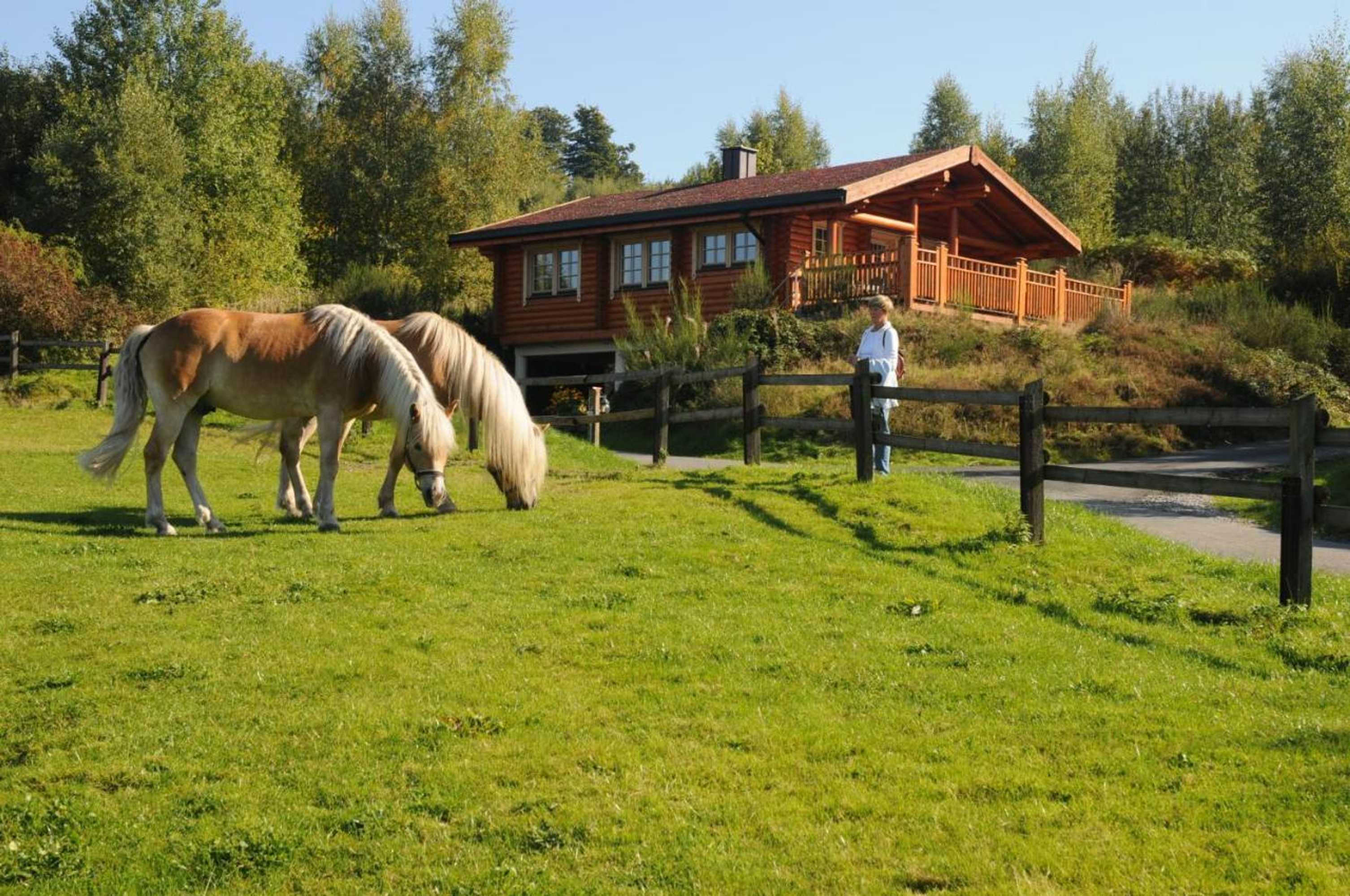 Gift card for Hotelanlage Country Lodge