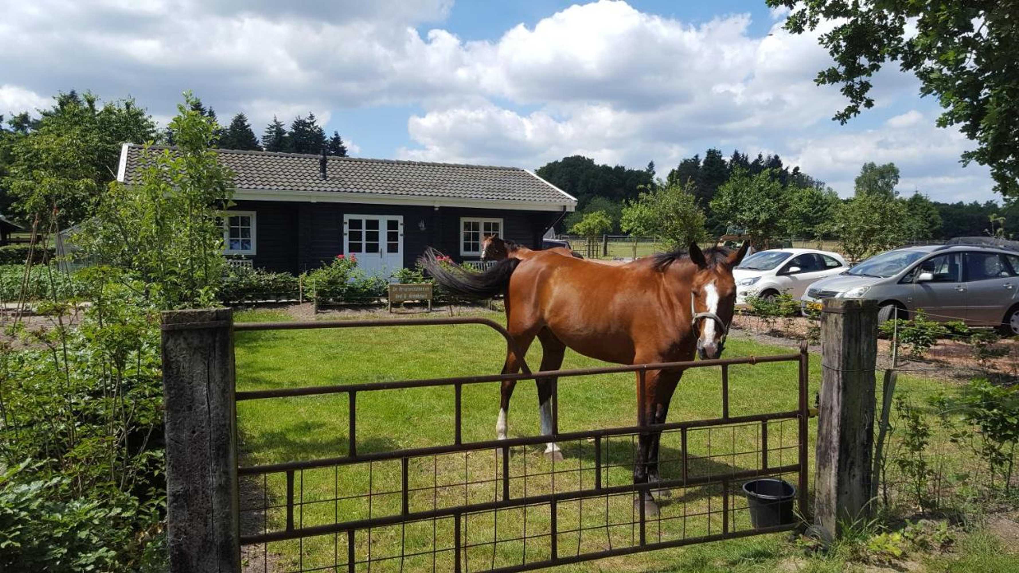 Gift card for De Priesnitzhoeve