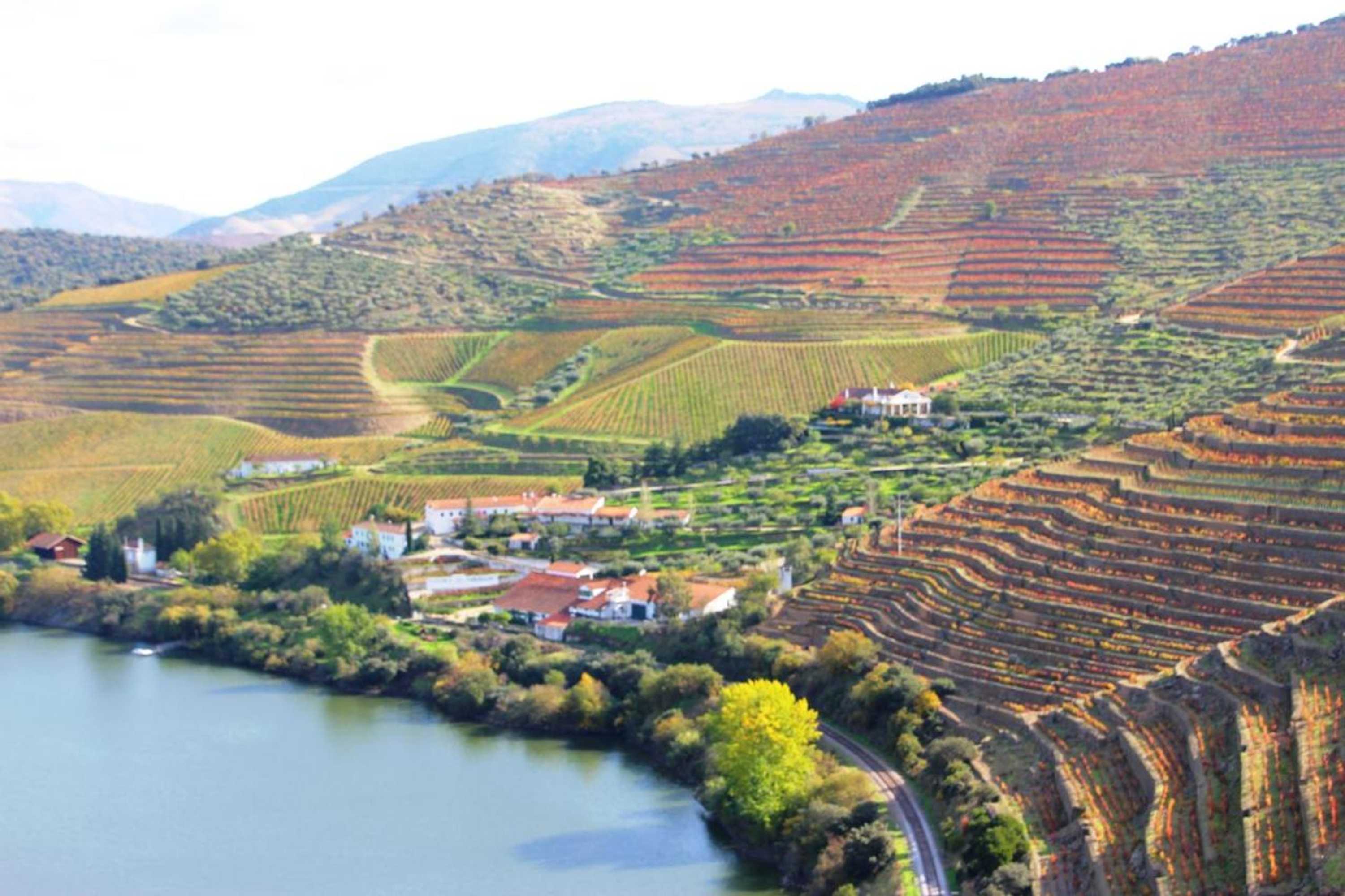 Gift card for Douro Yacht Charter & Bungalows