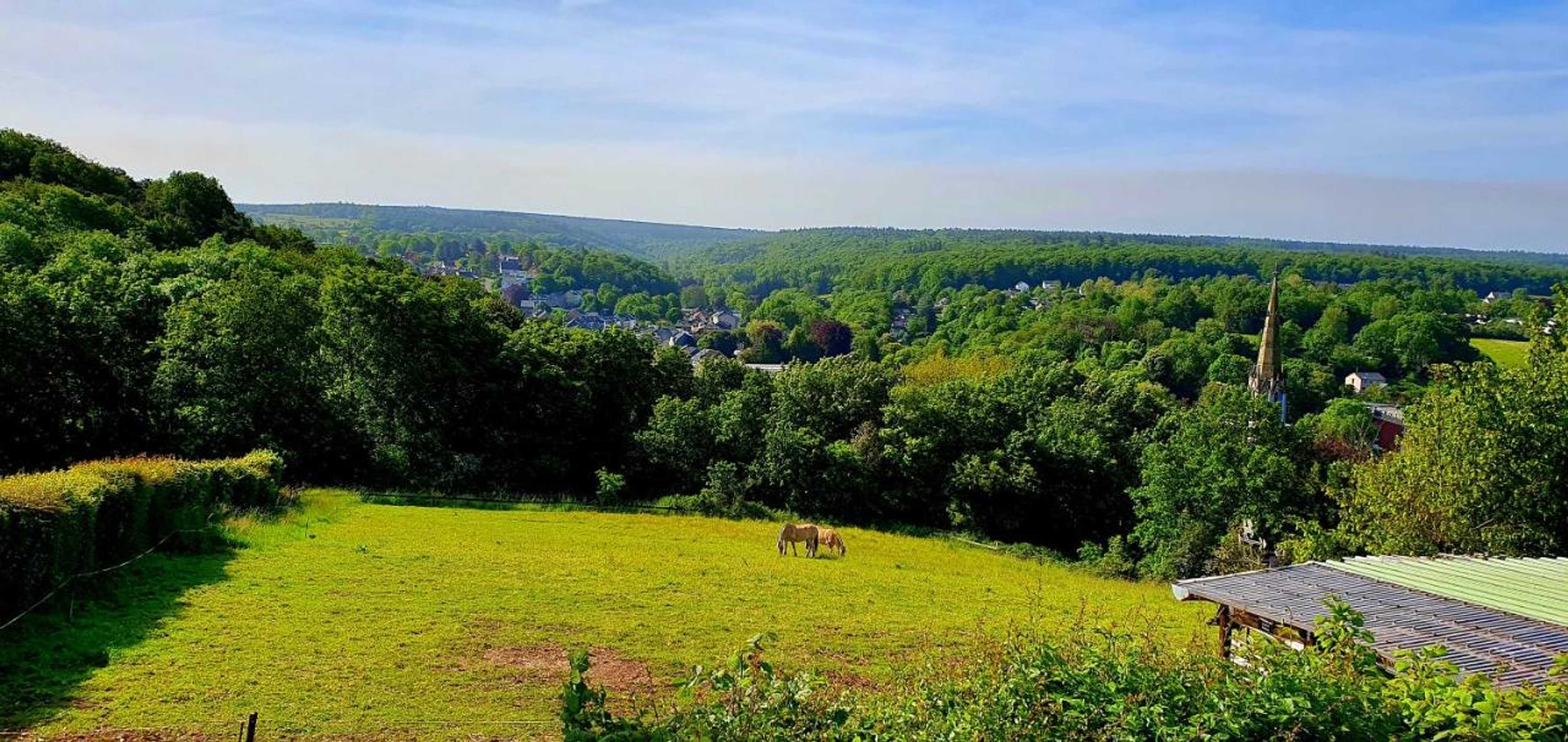Gift card for Gîte Kaleo Eupen Jugendherberge