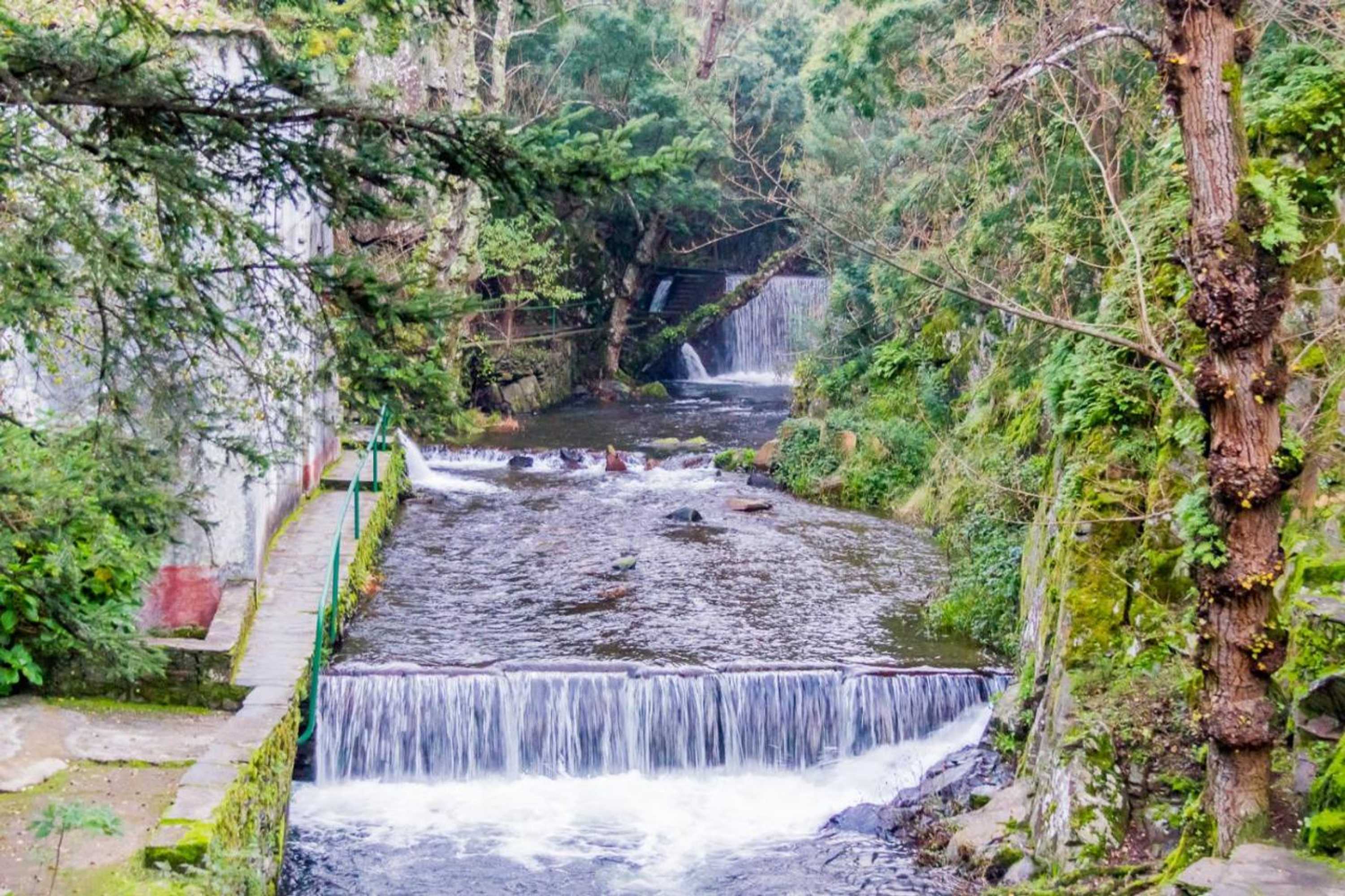 Gift card for Quintal De Alem Do Ribeiro-Turismo Rural