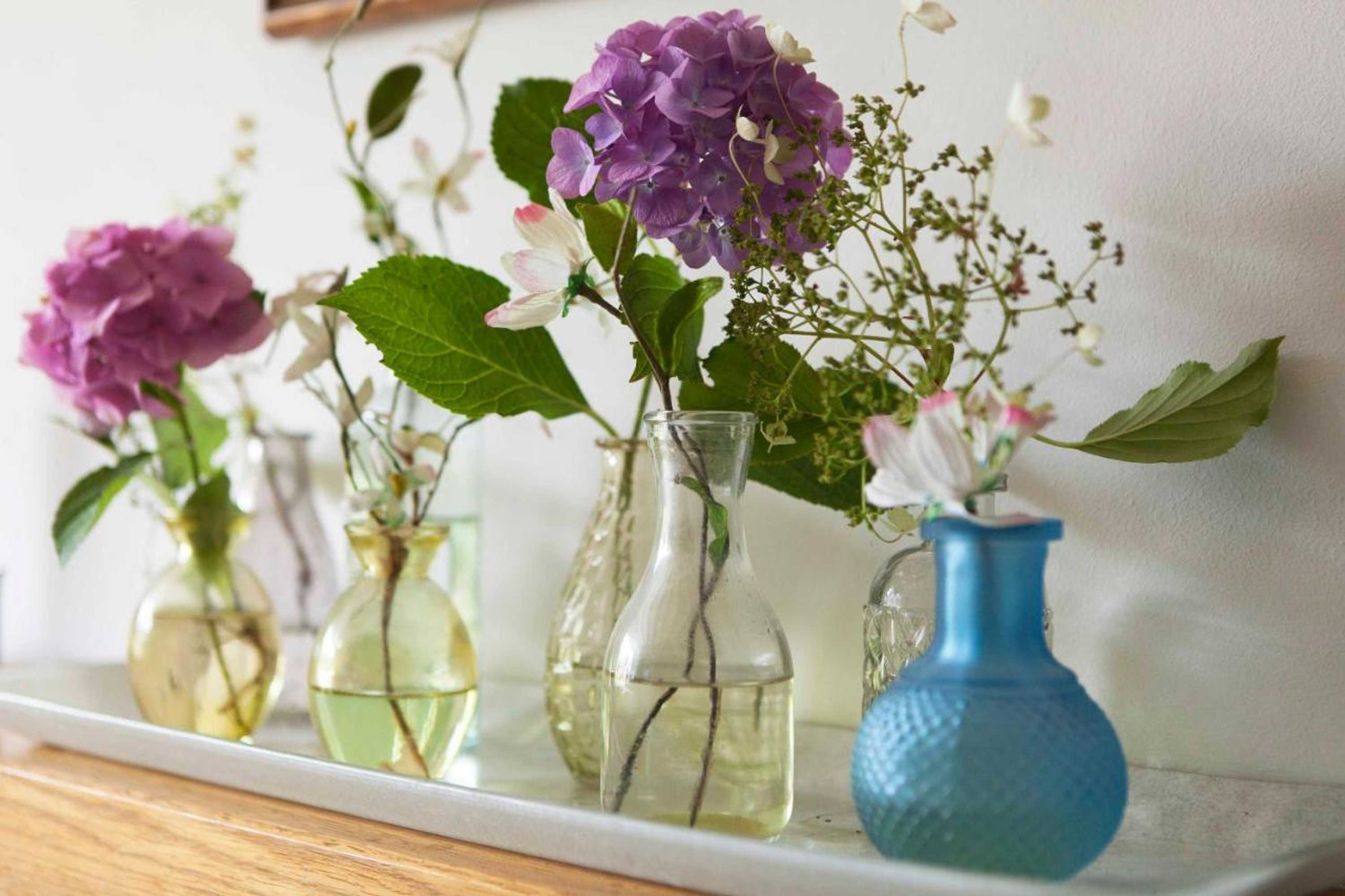 Gift card for The Livingrooms Laren