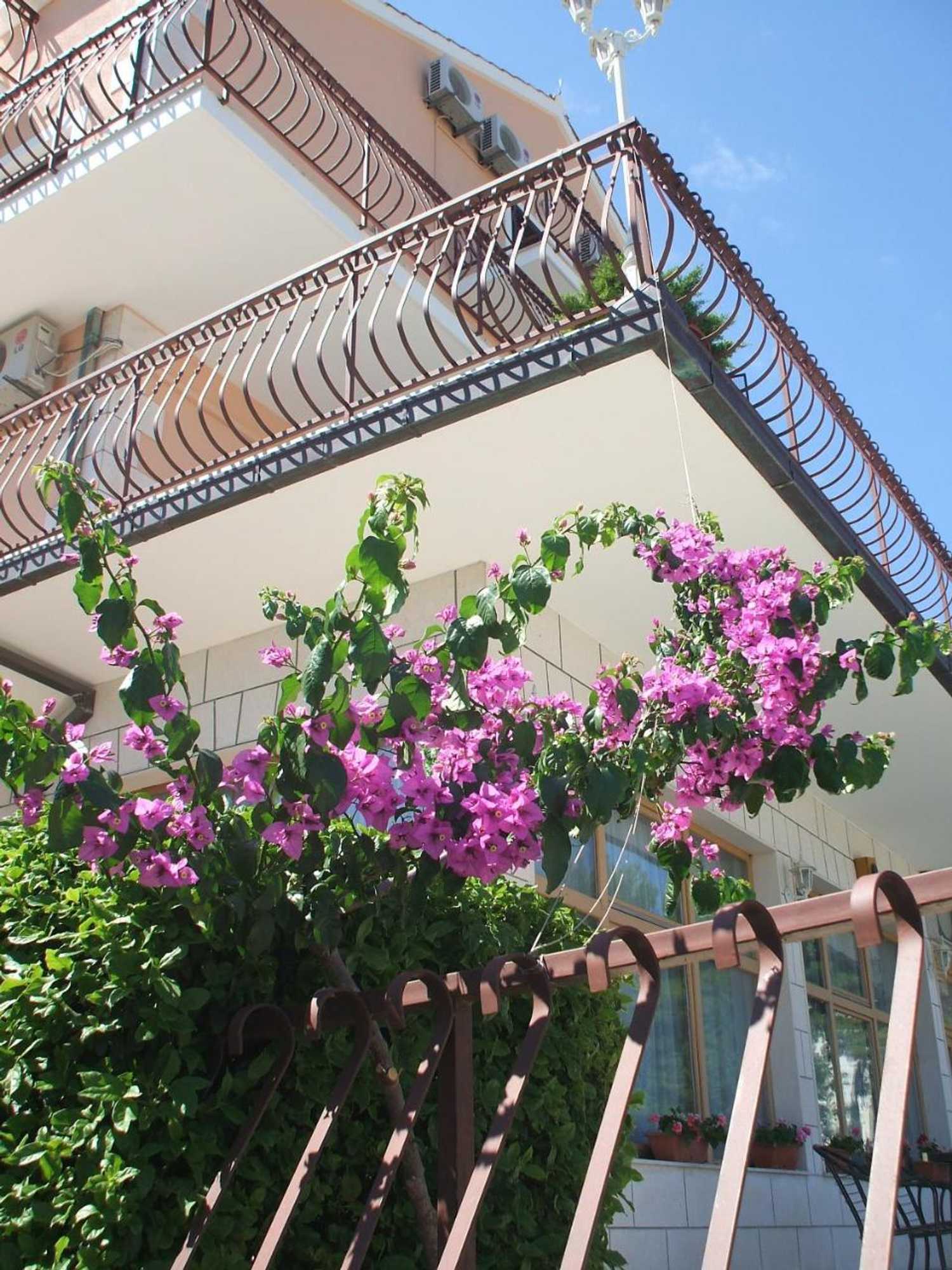 Gift card for Bed & Breakfast Senator