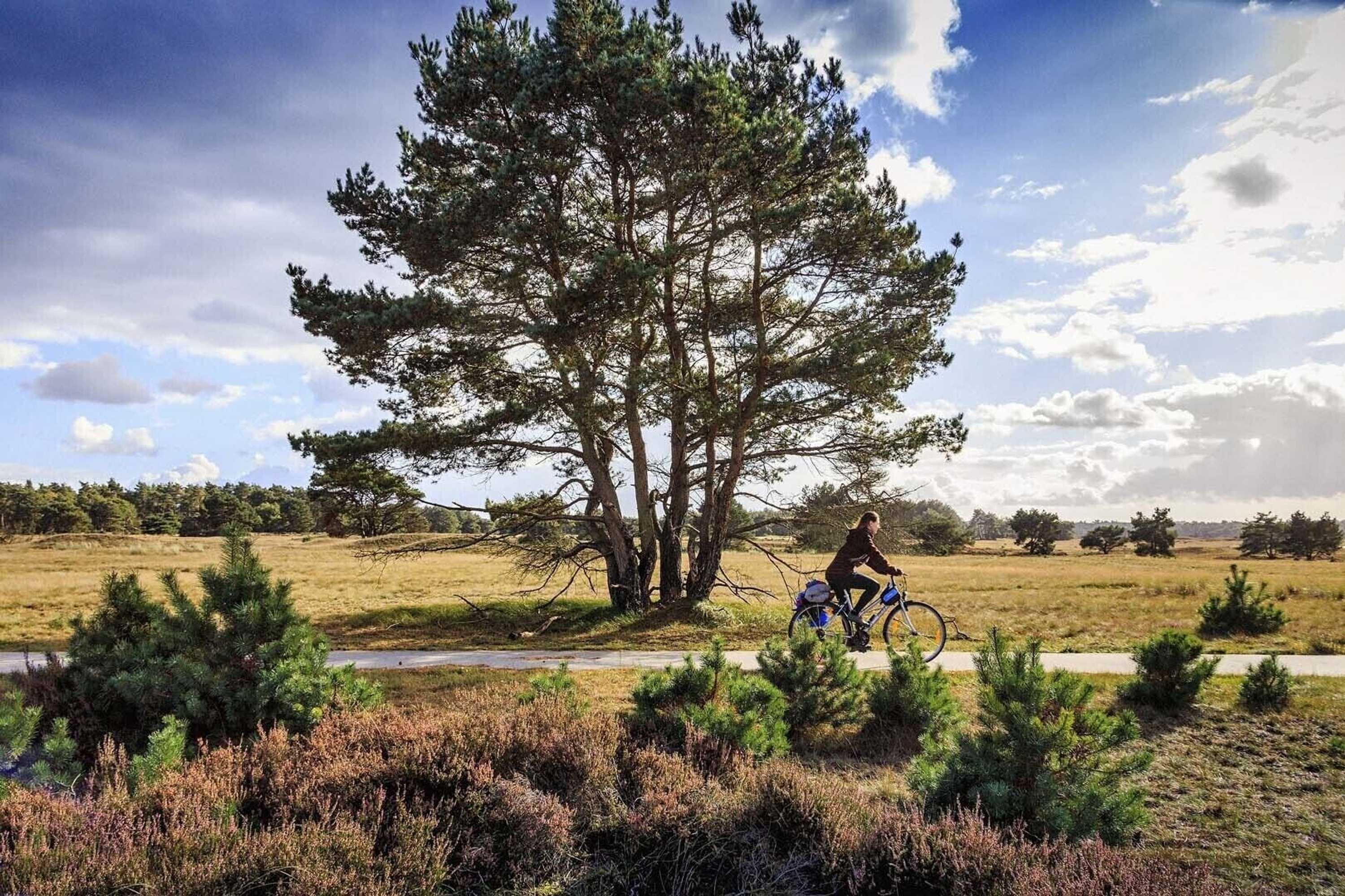 Gift card for Veluwe Hotel De Beyaerd