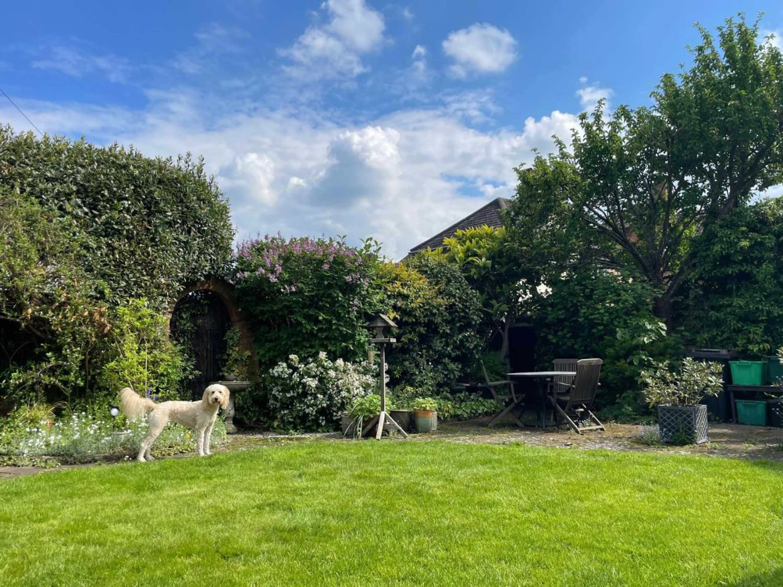 Gift card for Clay Farm Guest House