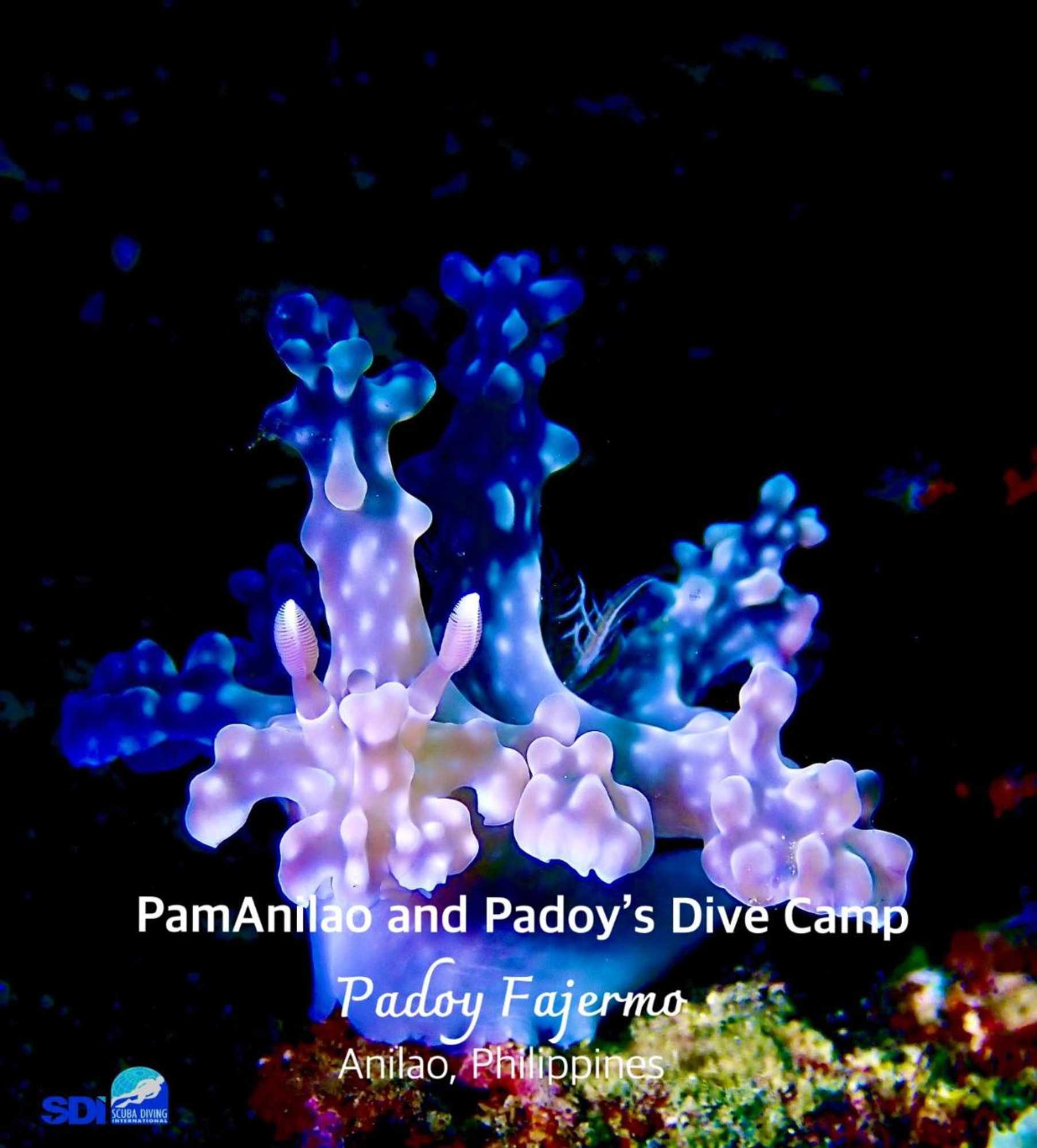 Gift card for Pamanilao And Padoy's Dive Camp Gift card for Pamanilao And Padoy's Dive Camp