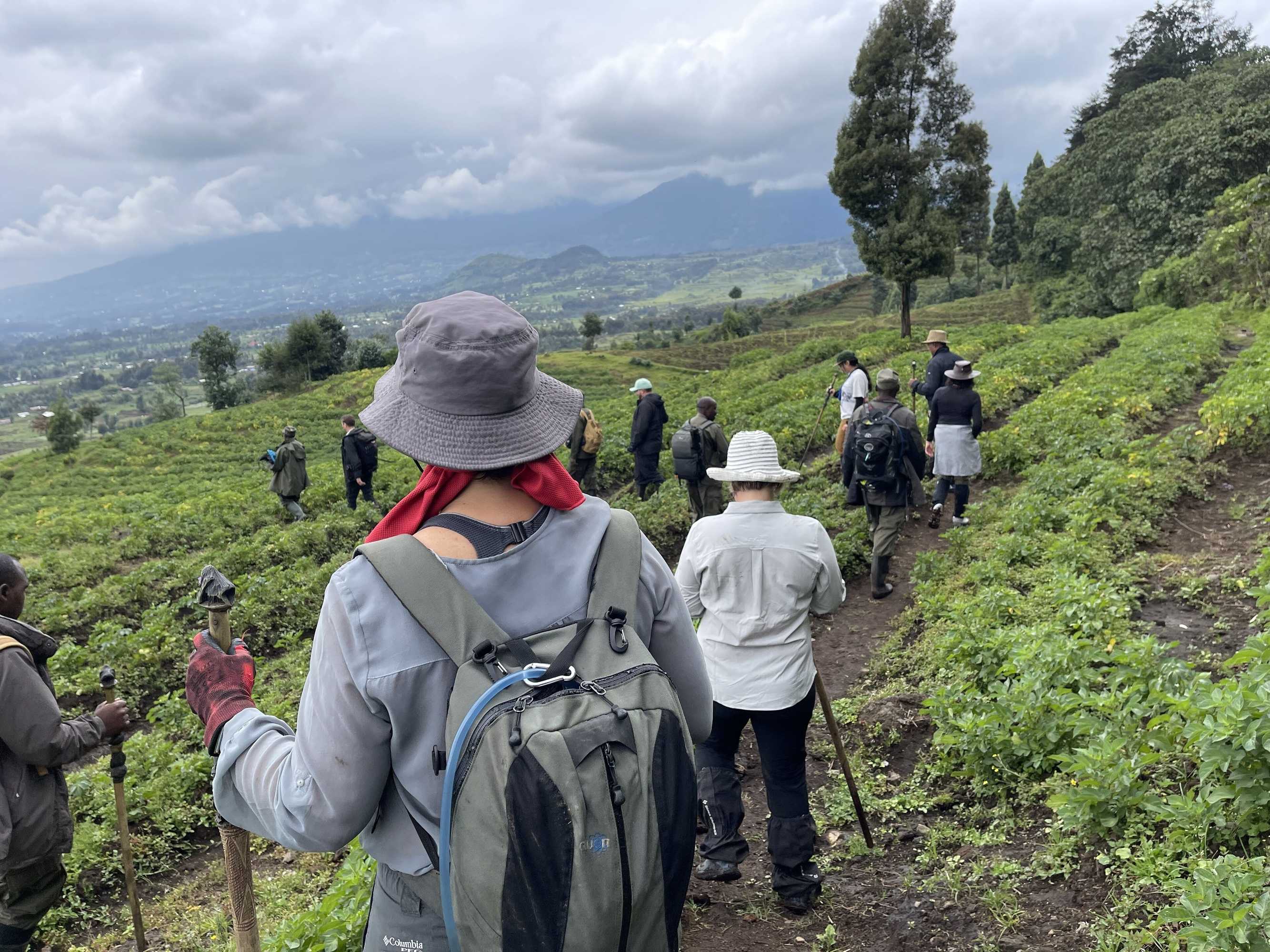 Gift card for Virunga Homestay & Campsites