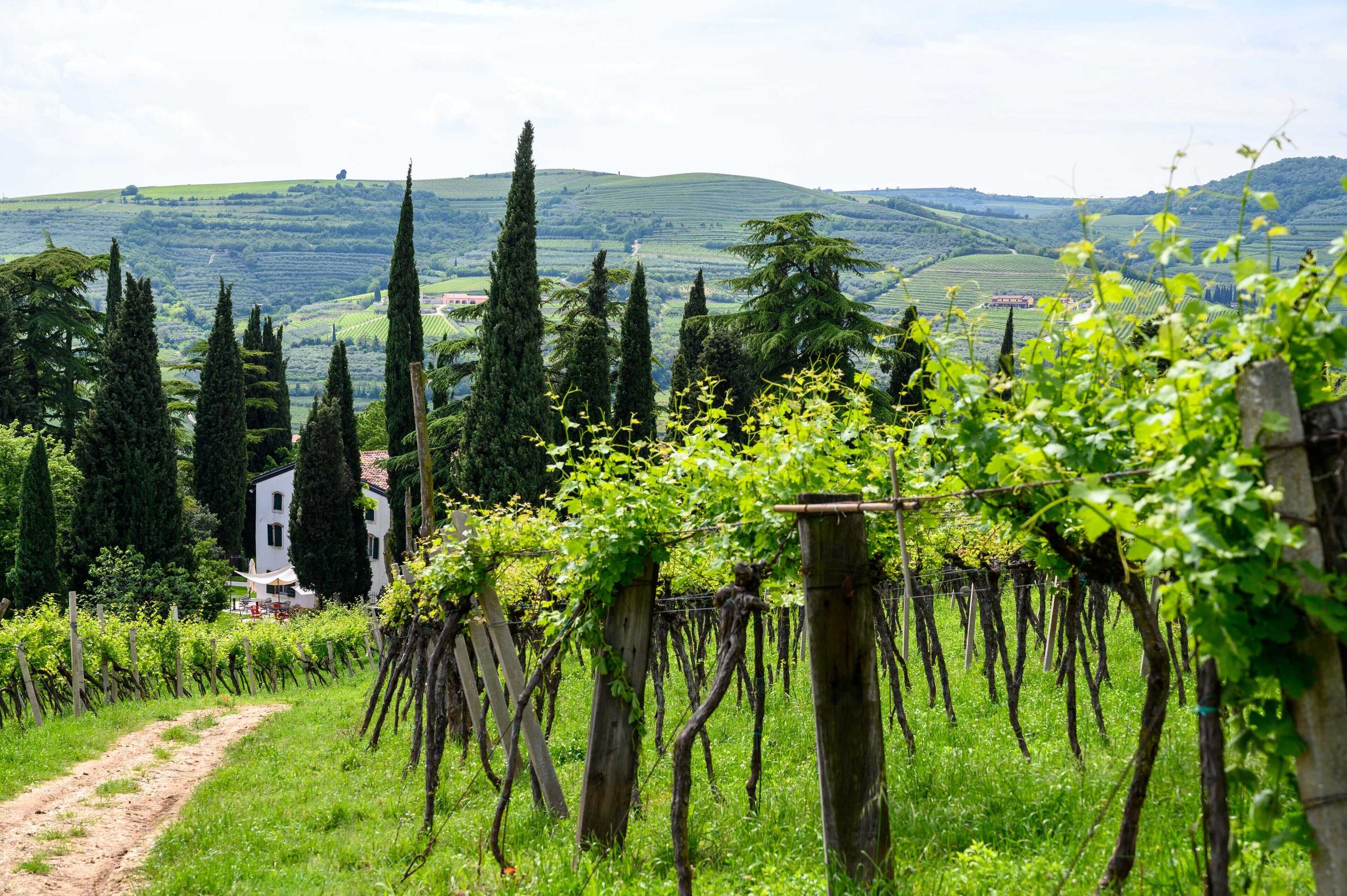 Gift card for Massimago Wine Relais Gift card for Massimago Wine Relais