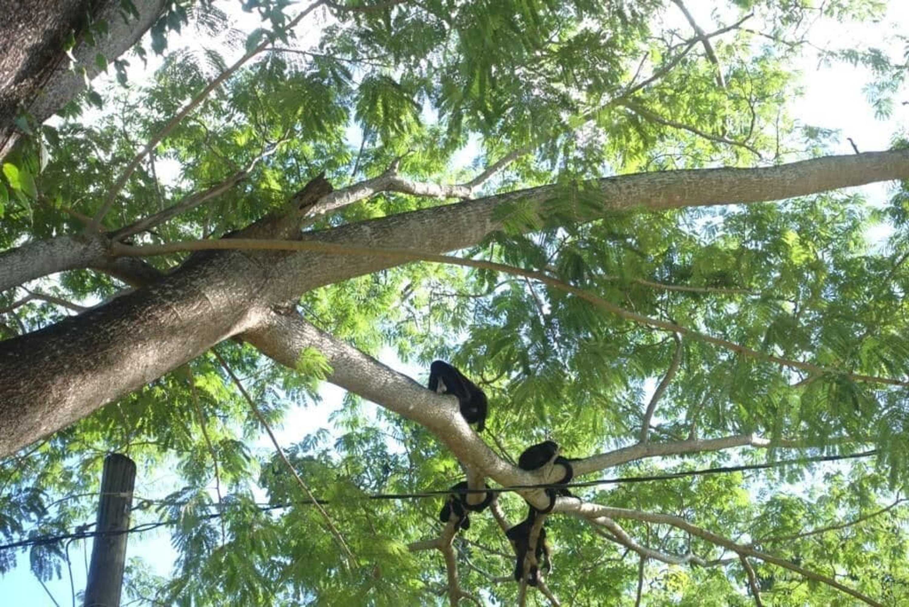 Gift card for Casa Maya Eco Lodge Surf Retreat Seconds From The Beach