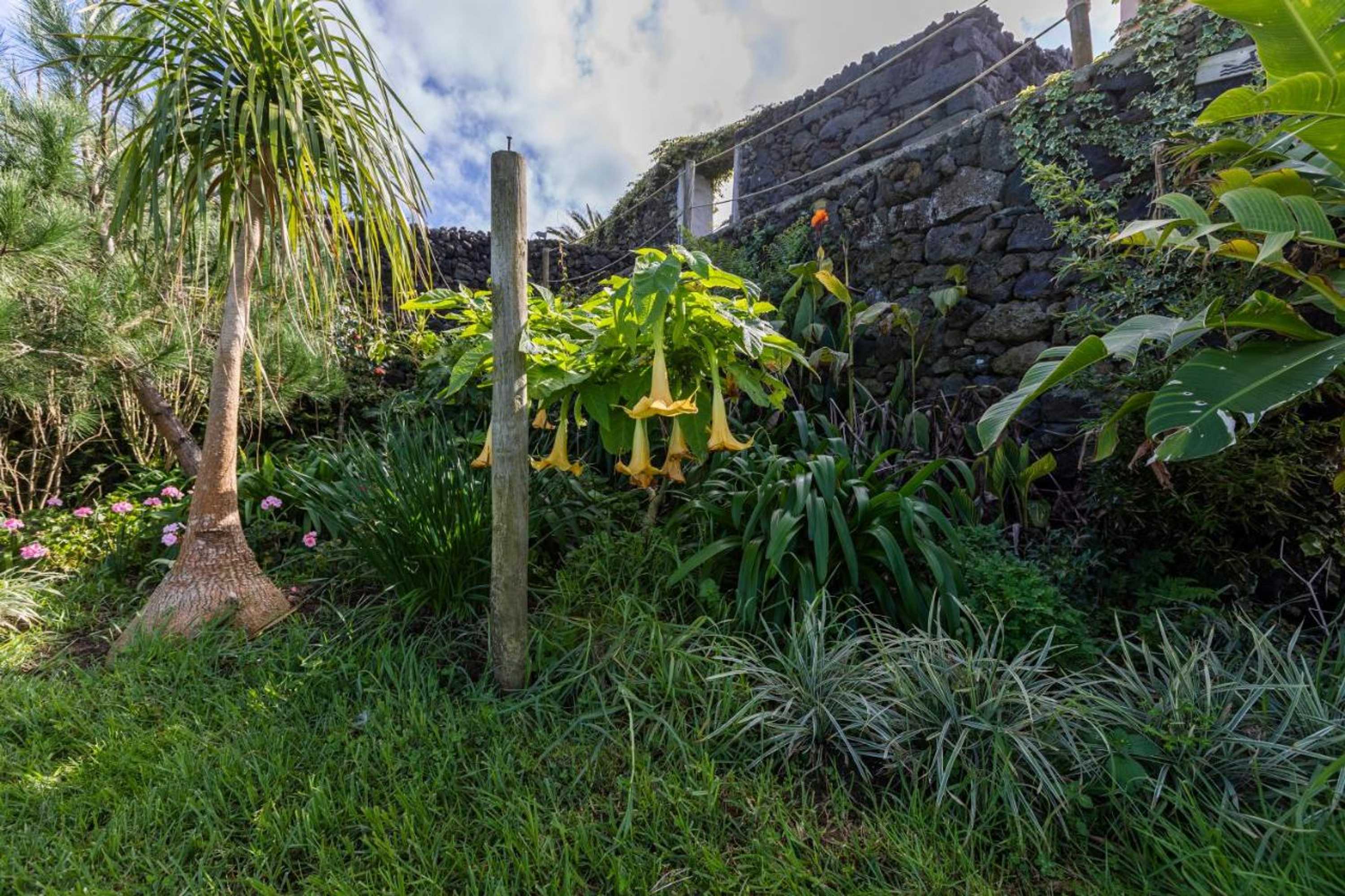 Gift card for Atlantico Apartments Gift card for Atlantico Apartments