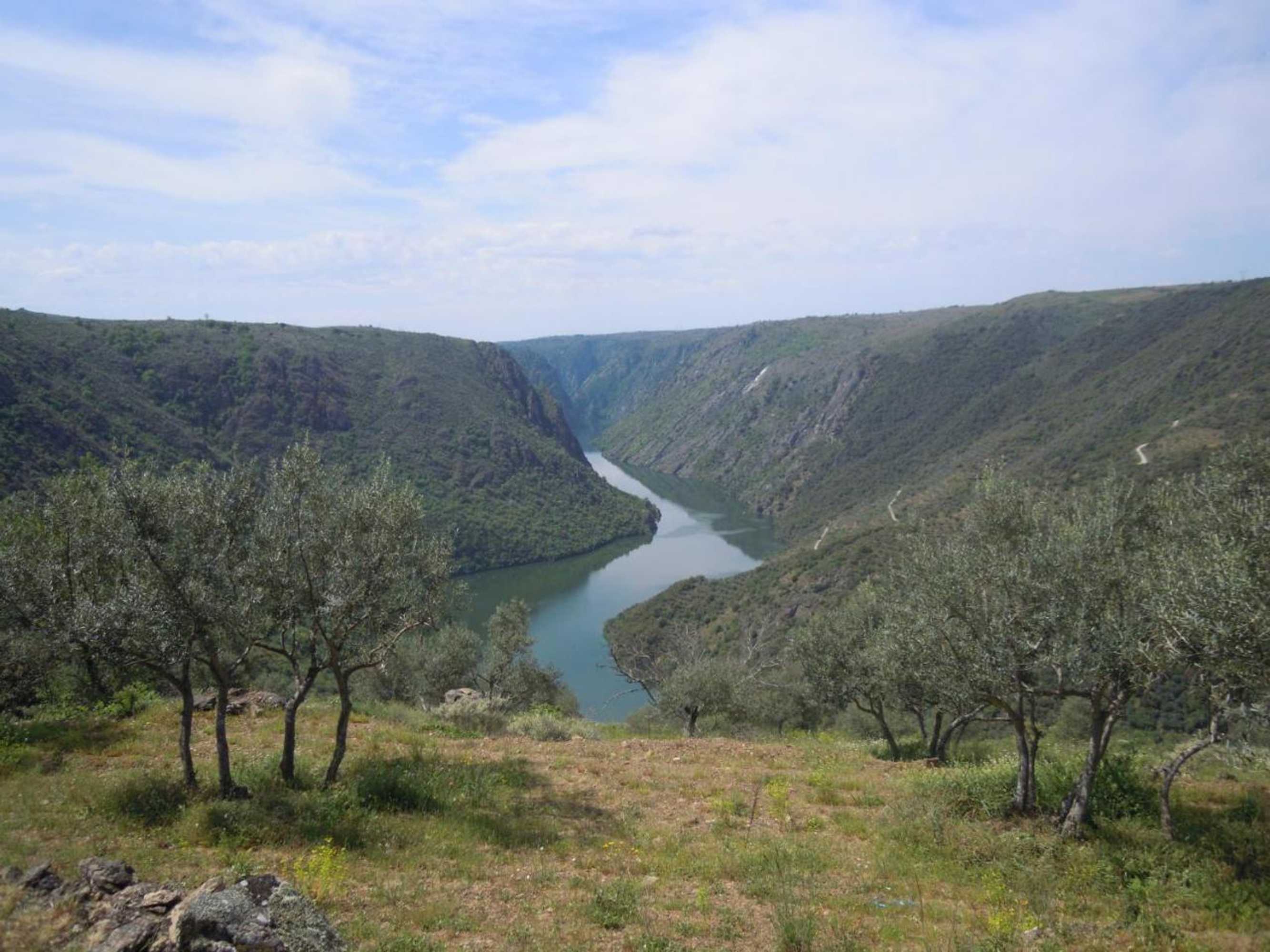 Gift card for Hotel Rural Rinconada de Las Arribes