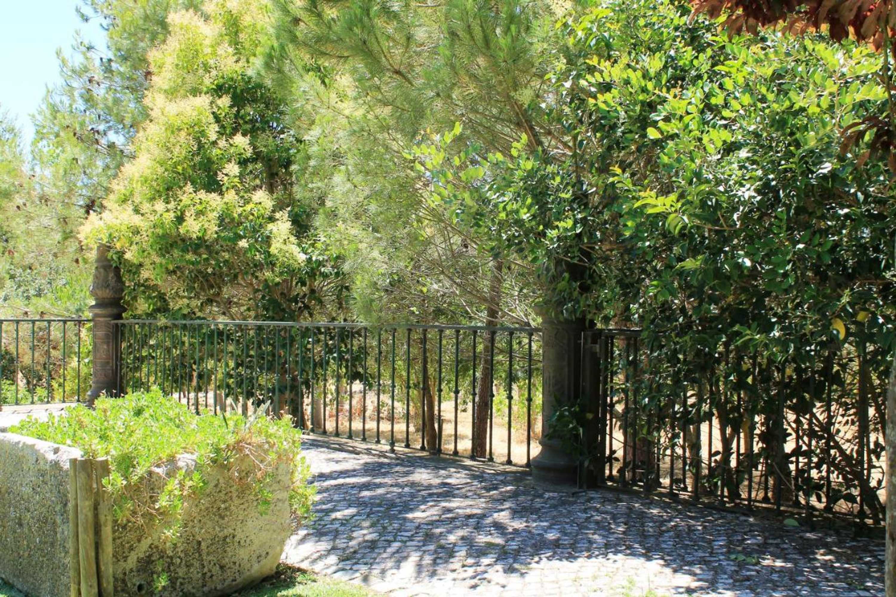 Gift card for Quinta do Casal de Santo António Gift card for Quinta do Casal de Santo António