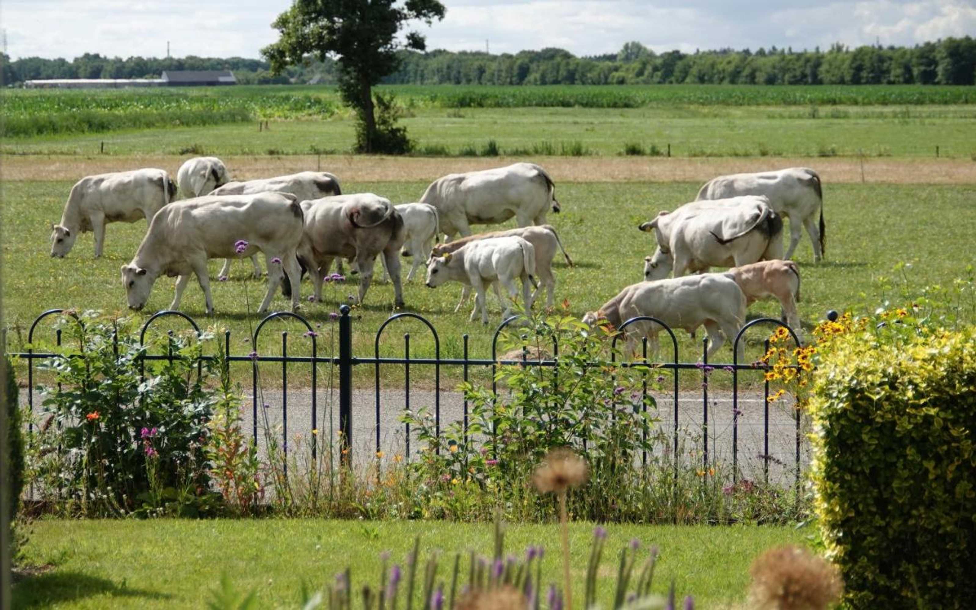 Gift card for B&b Veluwemeerpension