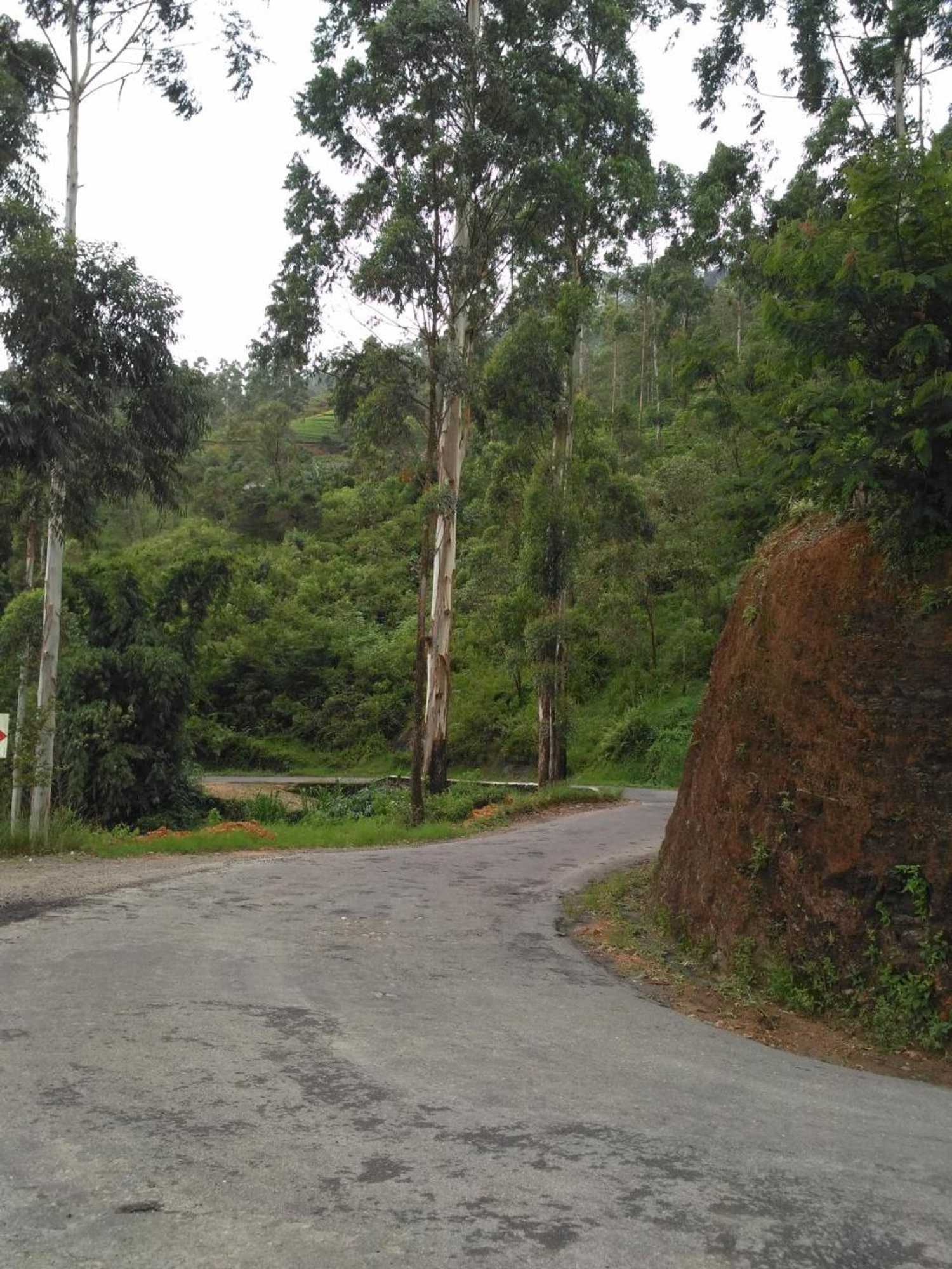Gift card for Dam House (near Adams Peak)