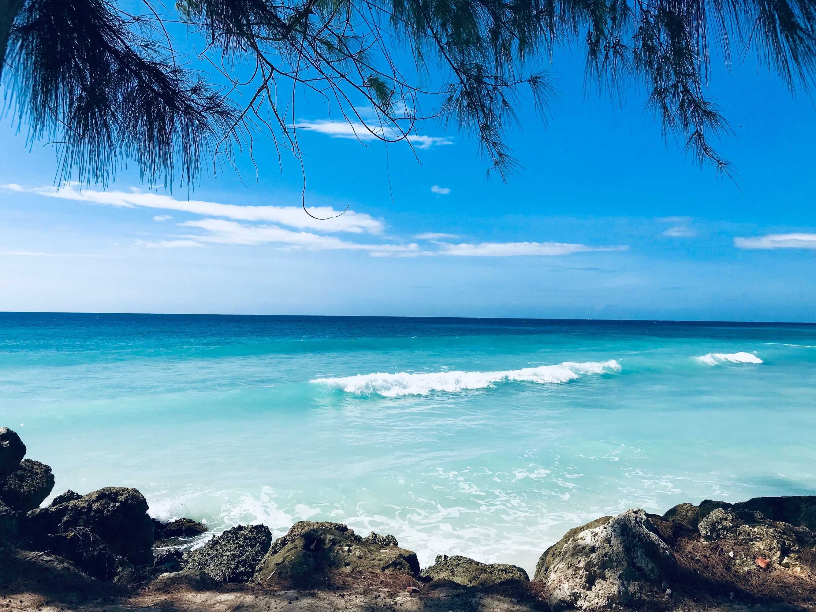 Gift card for Divi Southwinds Beach Resort Gift card for Divi Southwinds Beach Resort