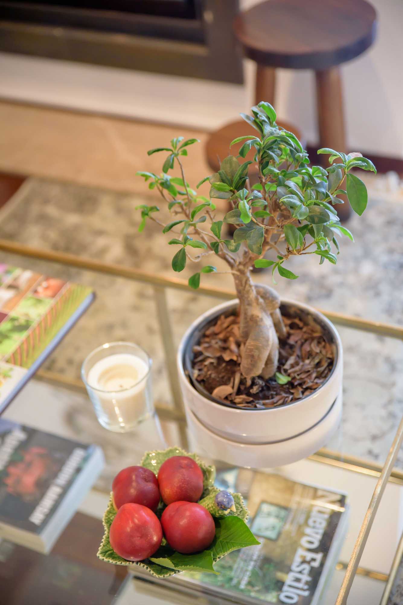 Gift card for Quinta do Bosque Gift card for Quinta do Bosque