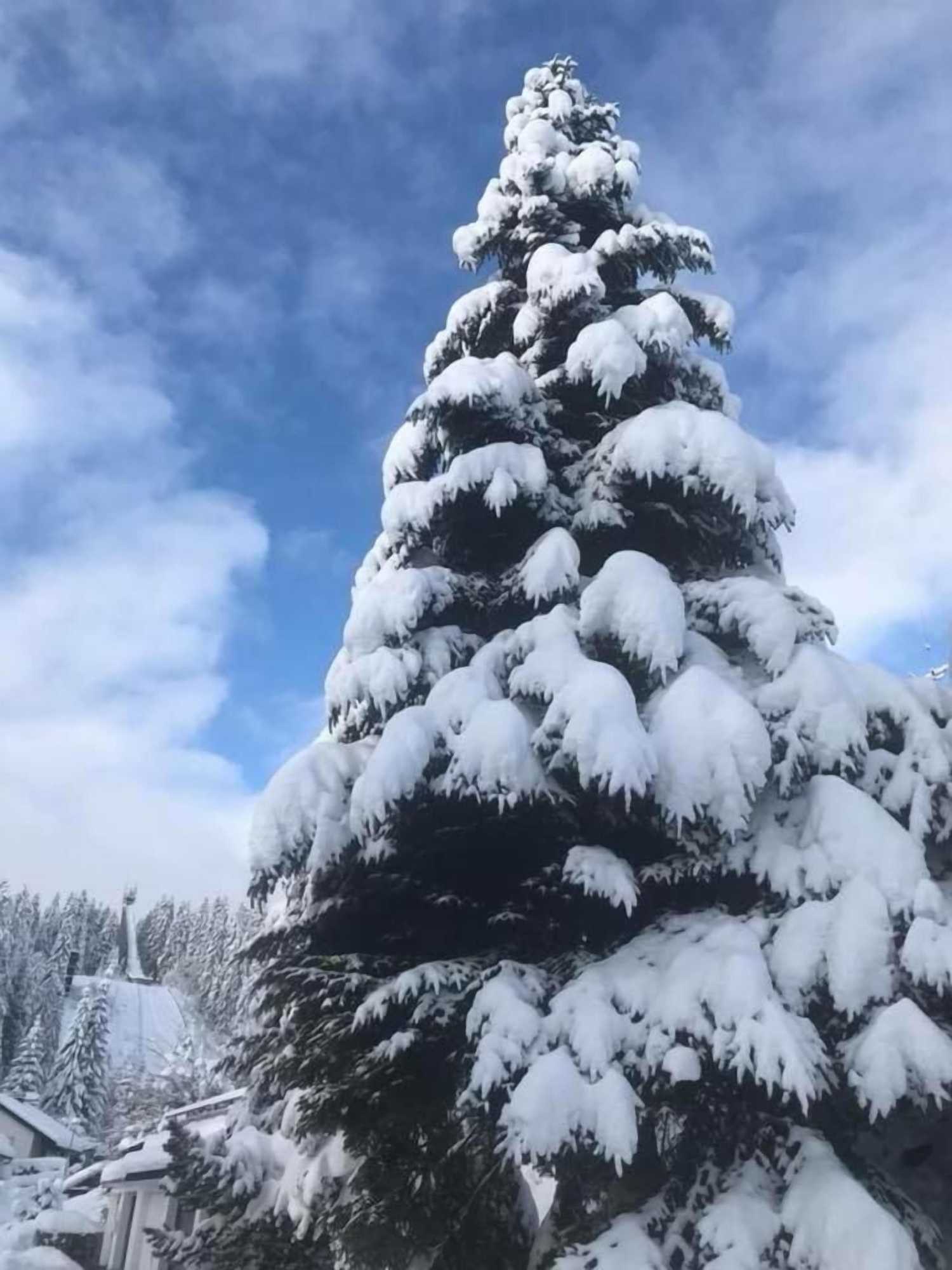 Gift card for Hotel Adlerschanze