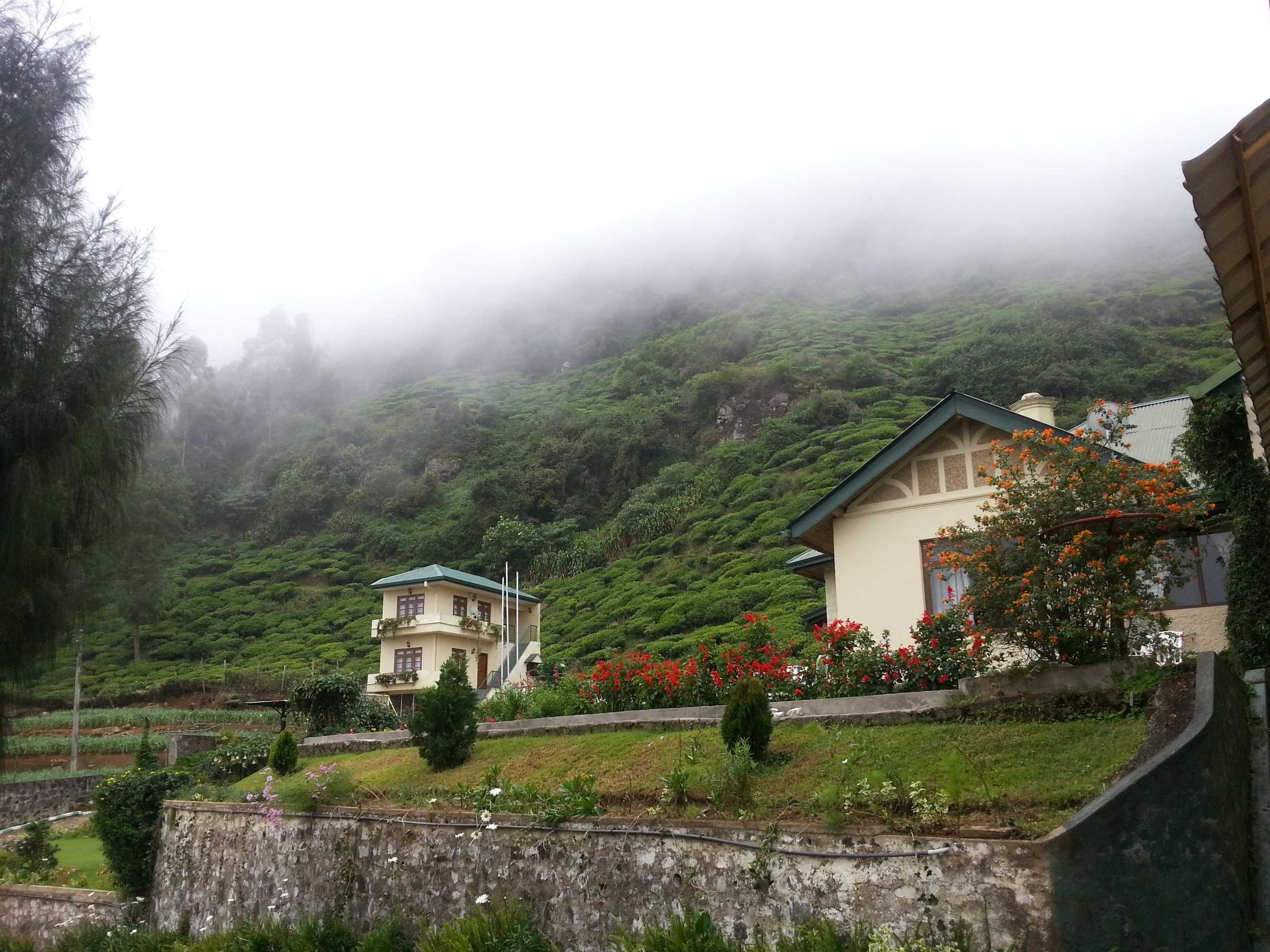 Gift card for Tea Bush Hotel - Nuwara Eliya Gift card for Tea Bush Hotel - Nuwara Eliya