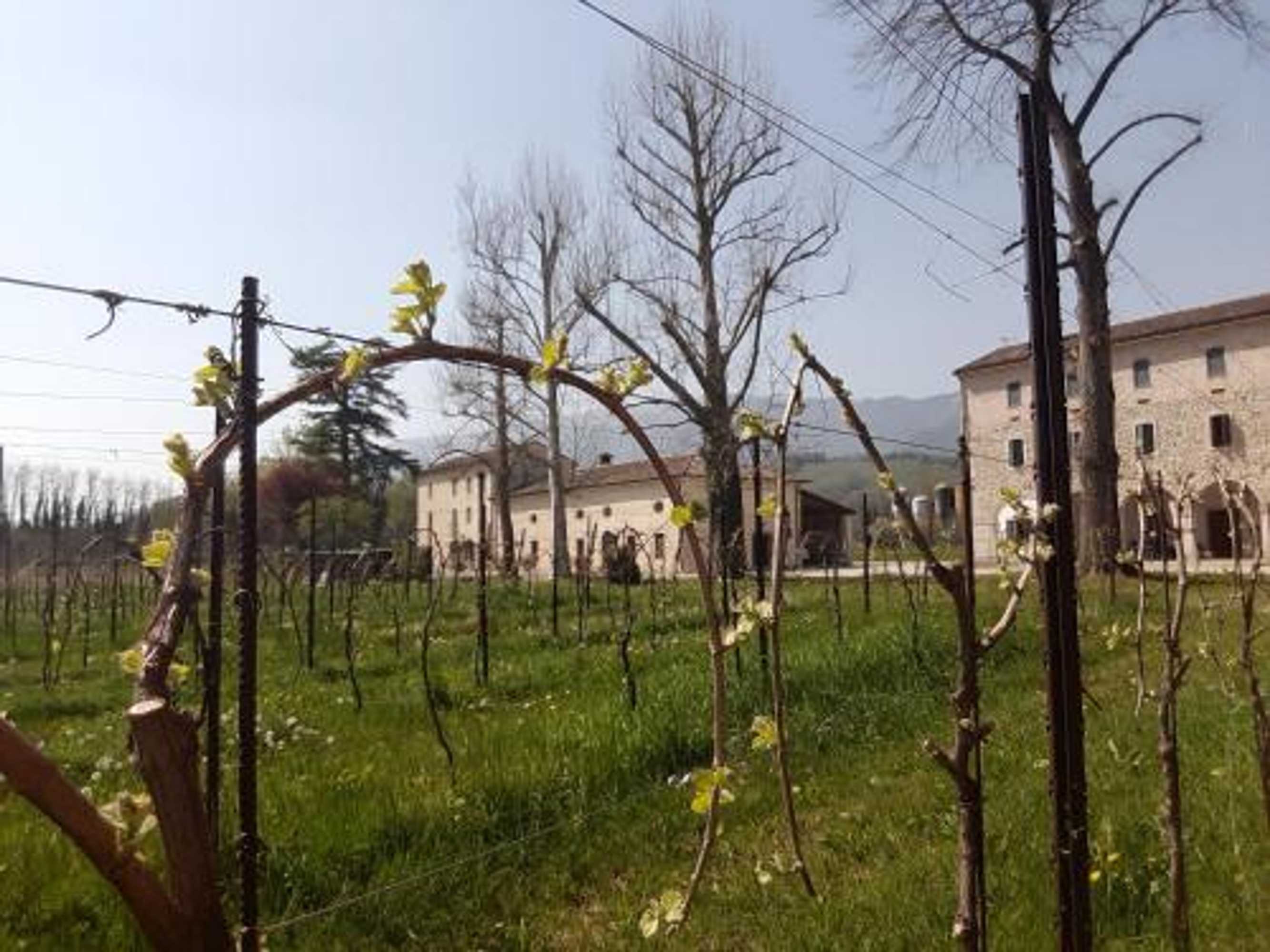 Gift card for Agriturismo La Bella Gift card for Agriturismo La Bella