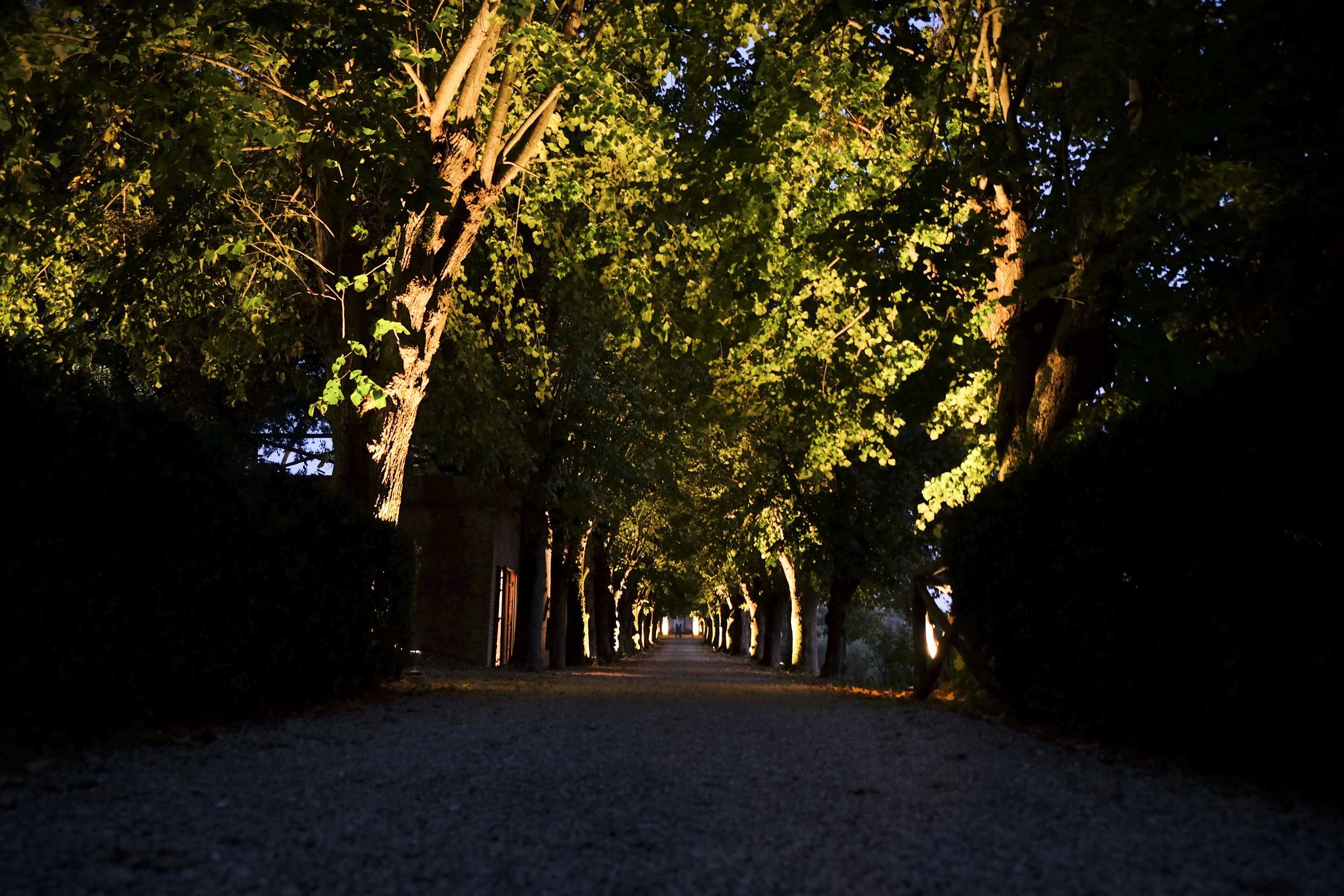 Gift card for Borgo Di Colleoli Resort Gift card for Borgo Di Colleoli Resort