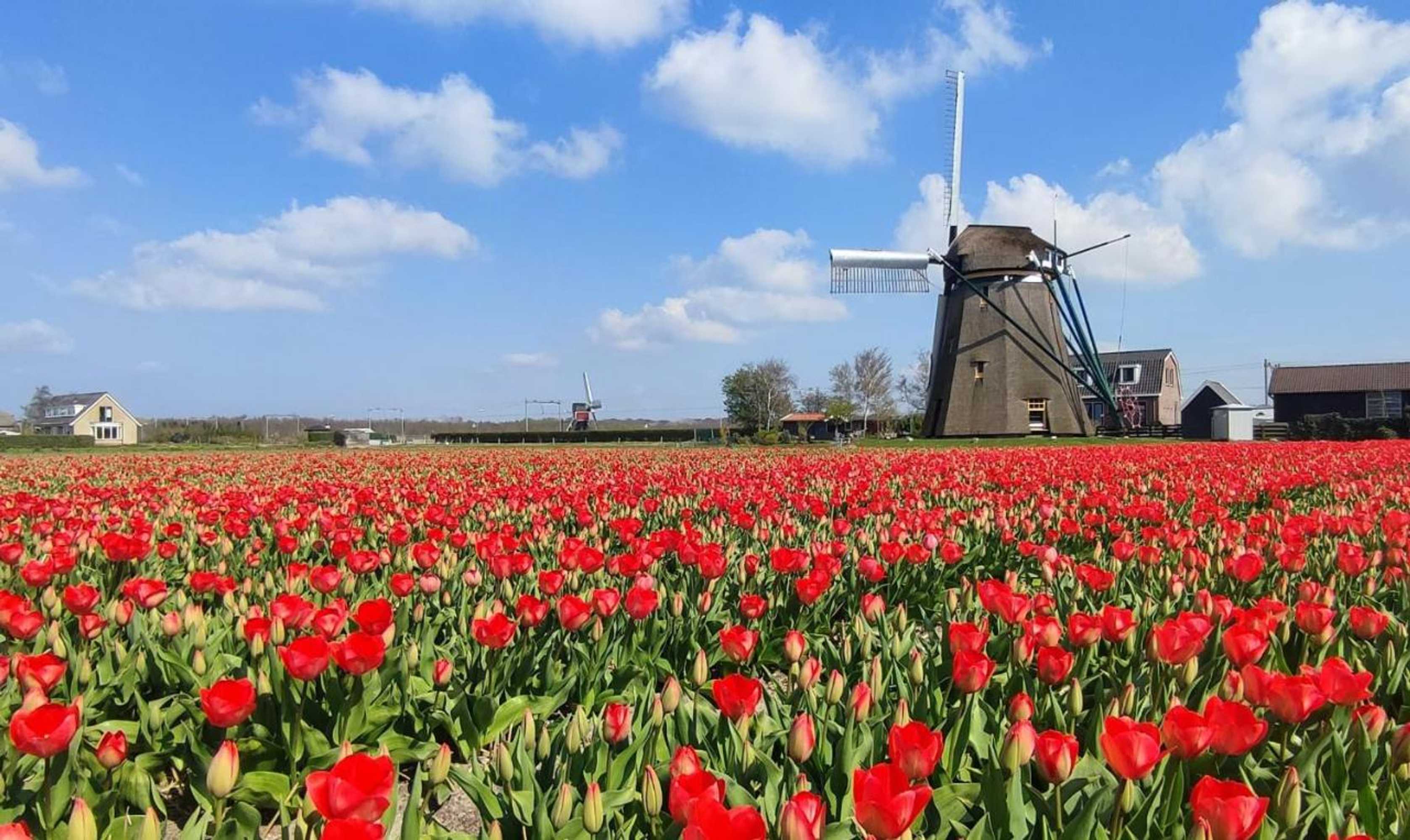 Gift card for Het Dijkstuk