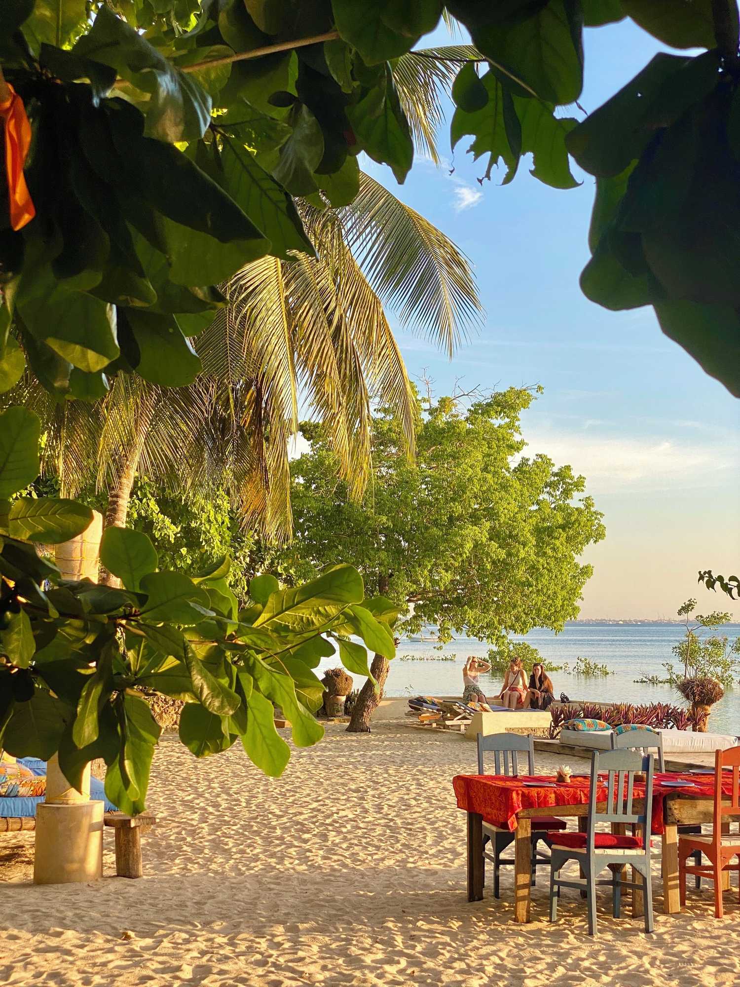 Gift card for Mangrove Lodge