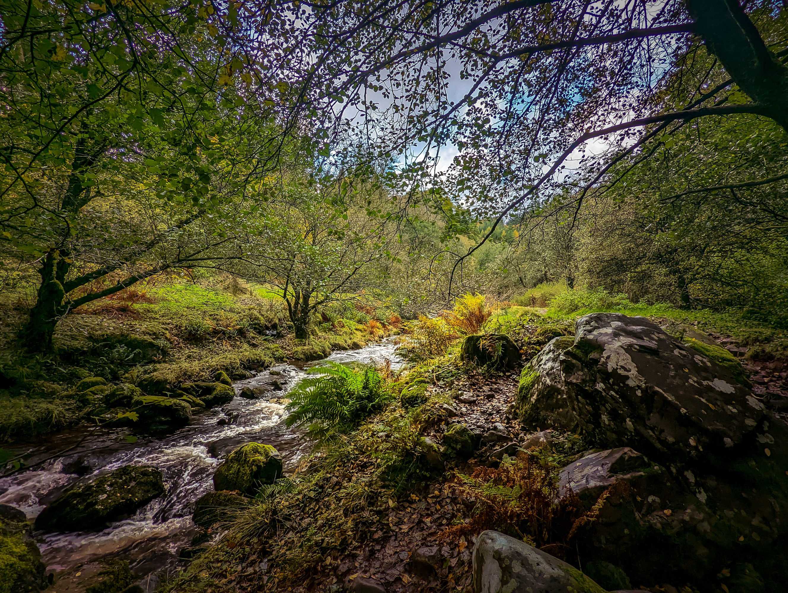 Gift card for Mill Lodge Brecon Beacons Gift card for Mill Lodge Brecon Beacons