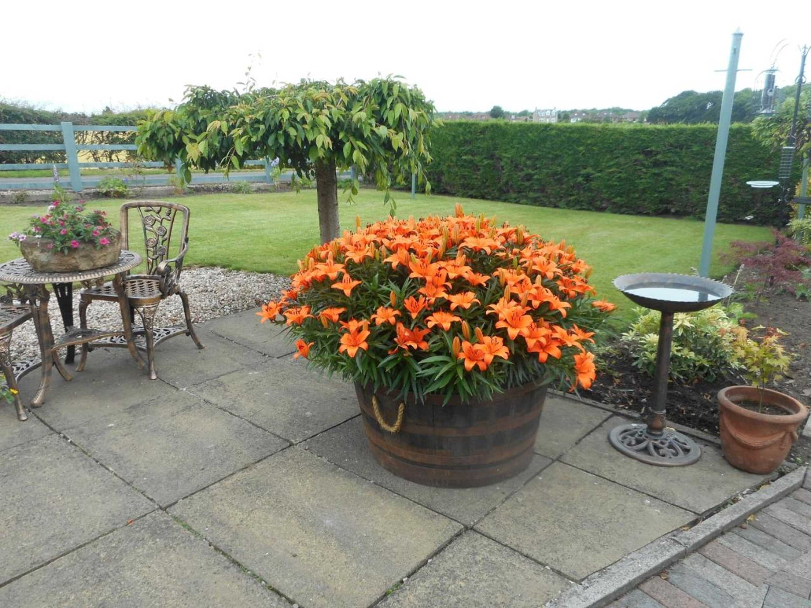 Gift card for Auchenlea Lodges