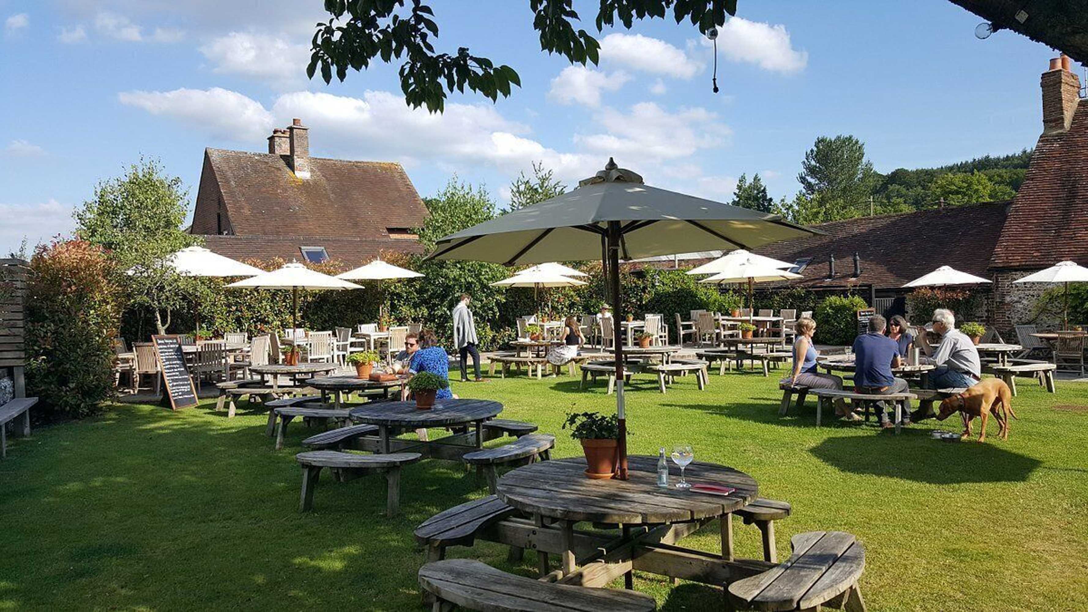 Gift card for The Fox Goes Free Gift card for The Fox Goes Free