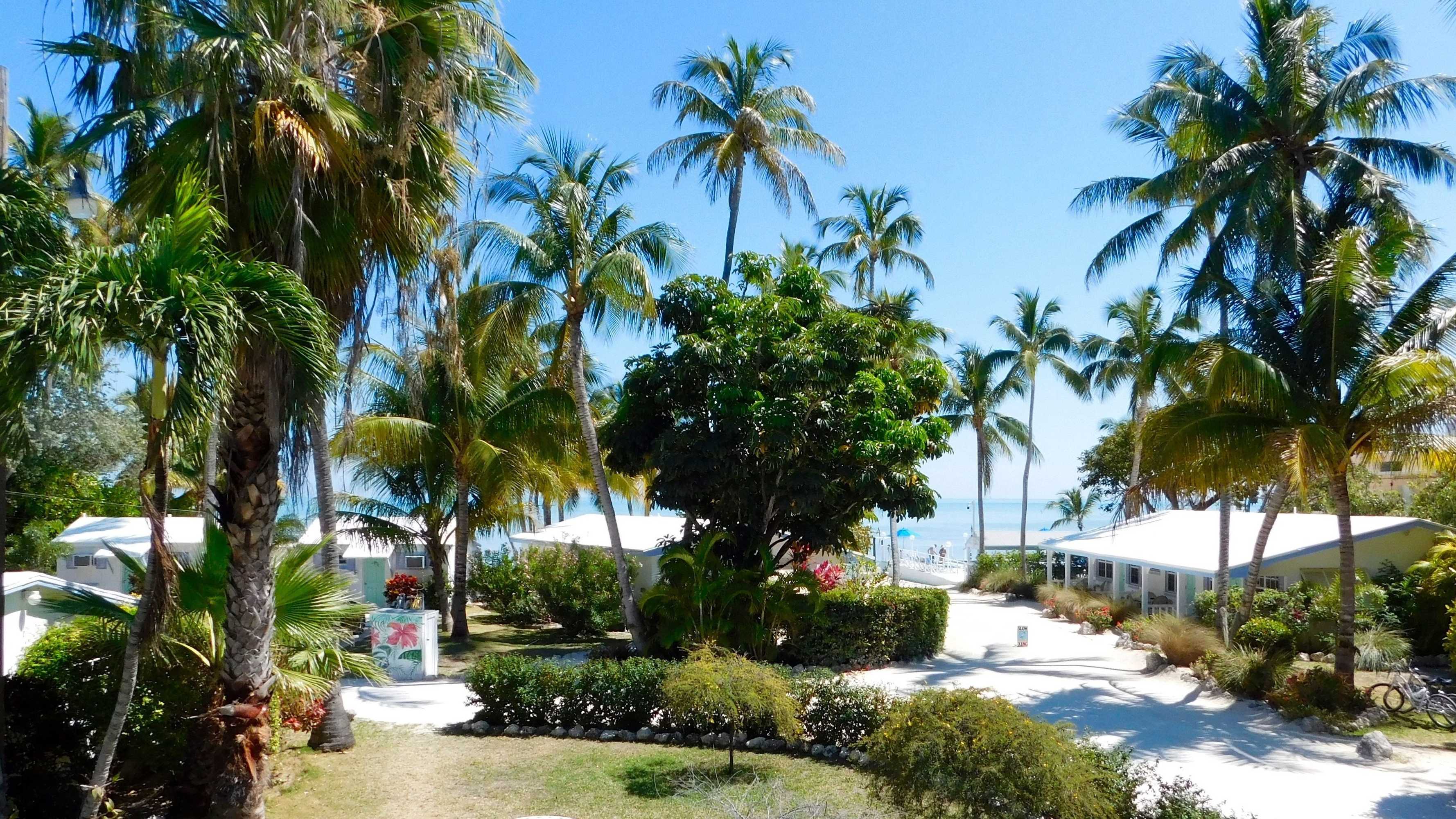 Gift card for Pines & Palms Resort Gift card for Pines & Palms Resort