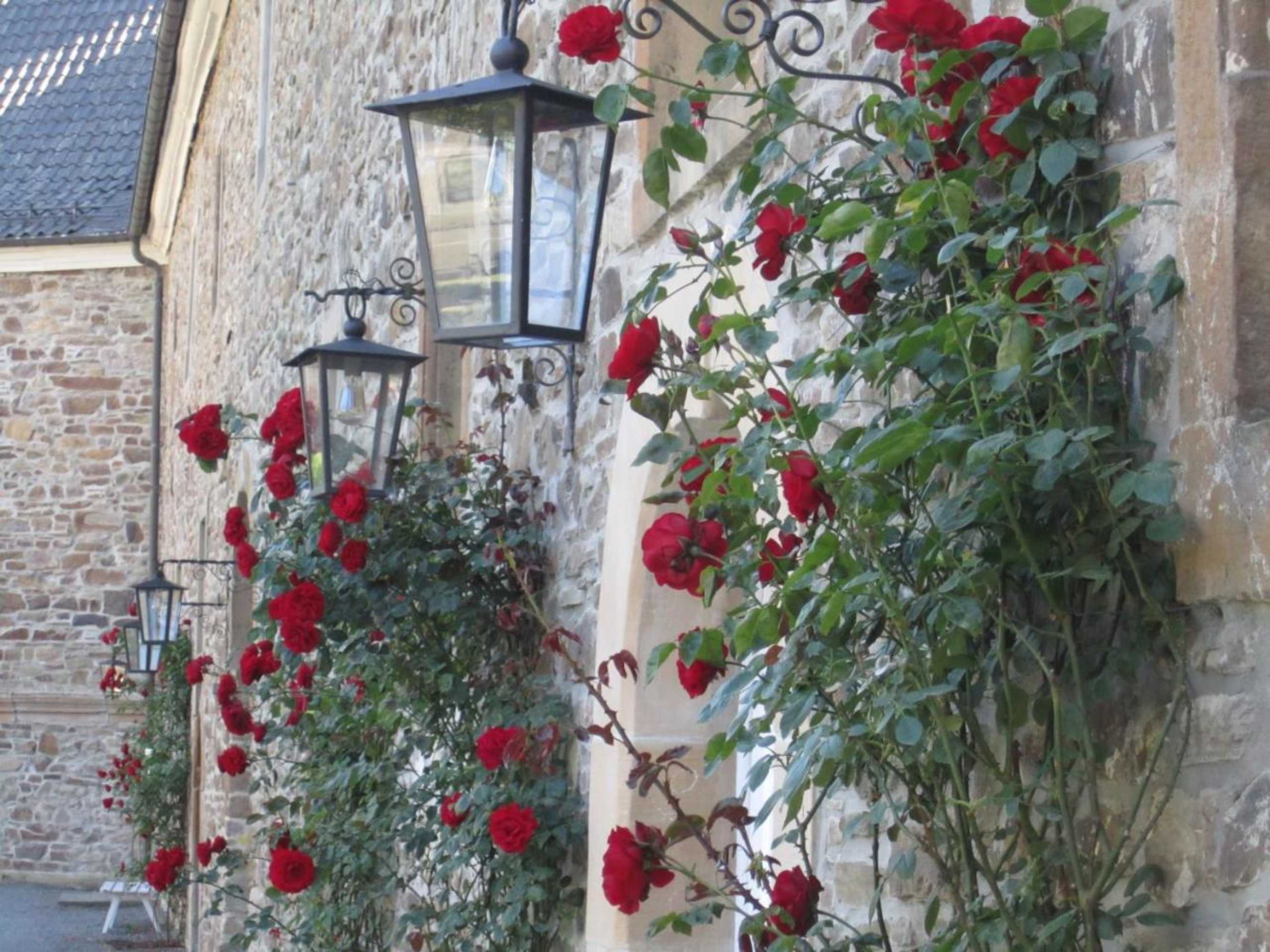 Gift card for Ferienwohnung Erlenhof