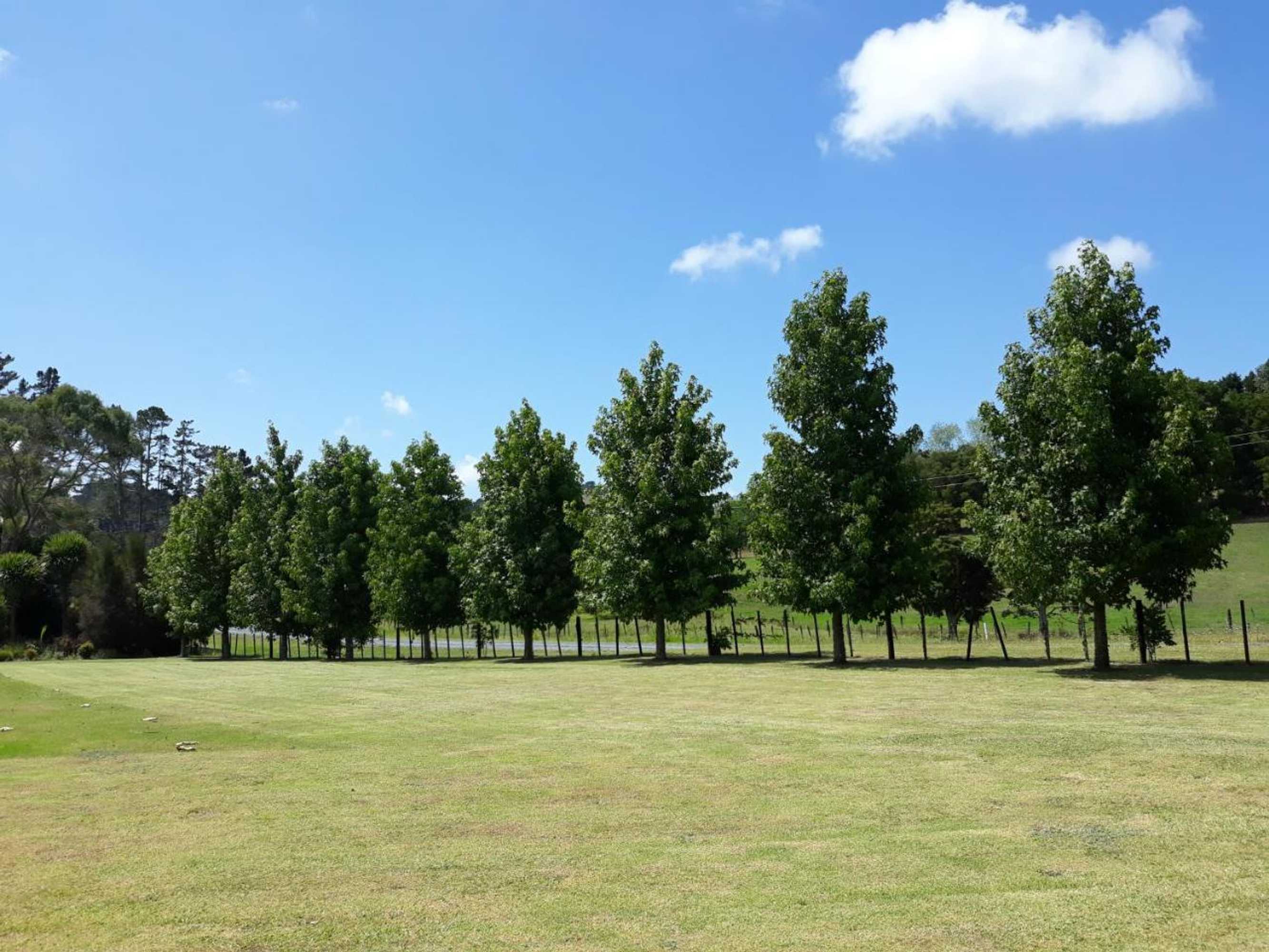 Gift card for Rural Palms