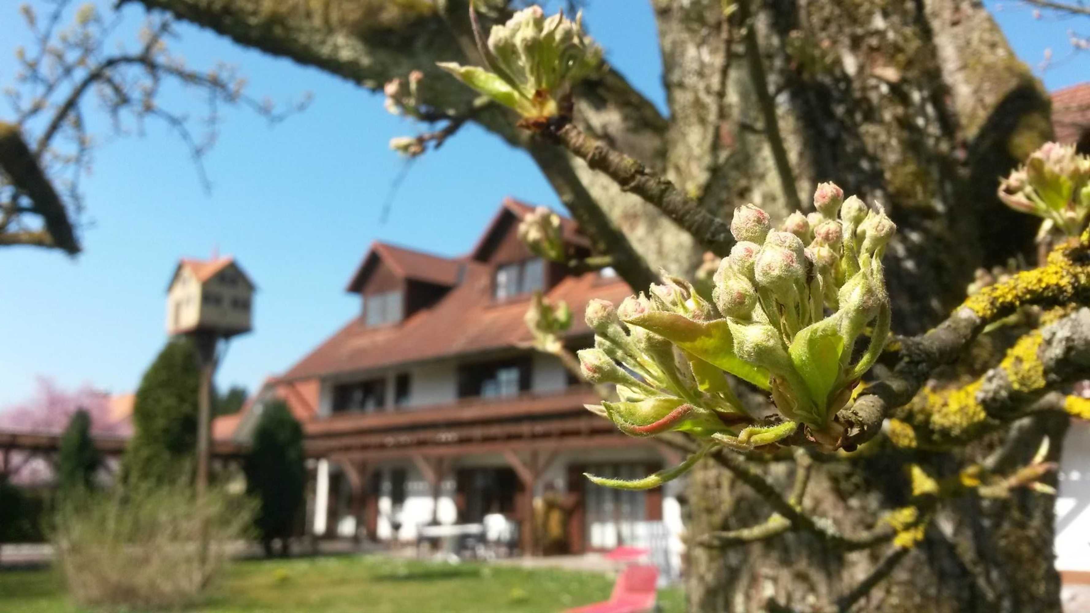 Gift card for Pension Aufeld