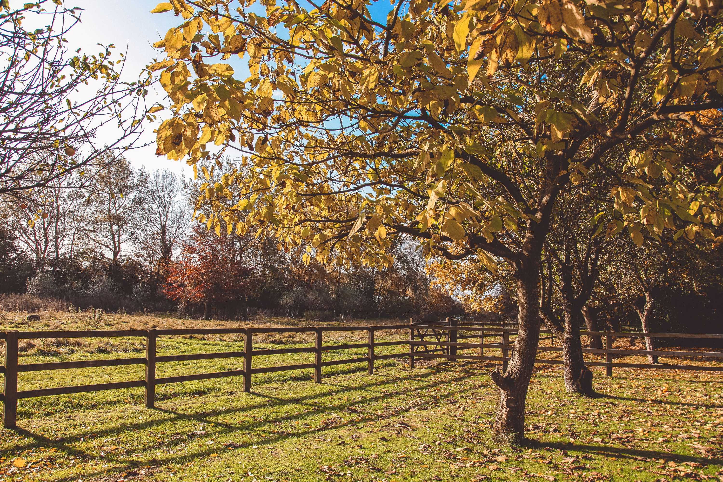 Gift card for Walltree House