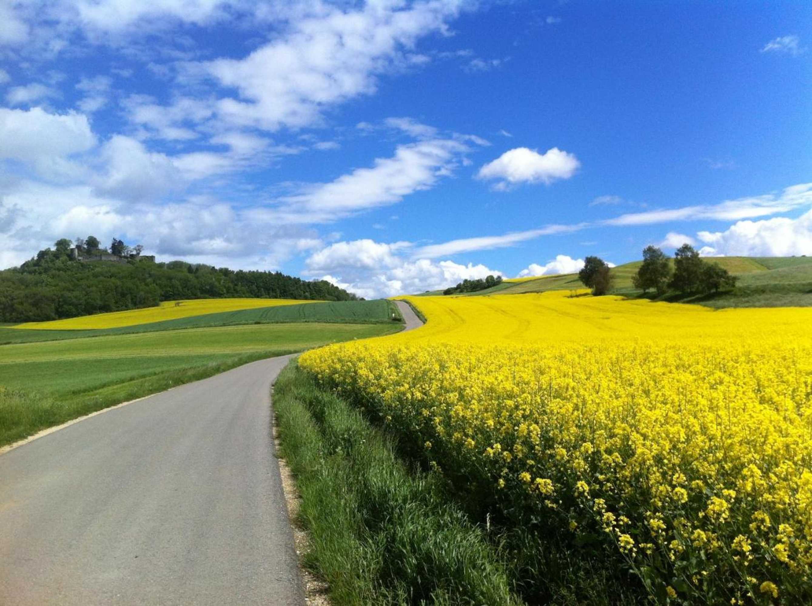 Gift card for Hotel Landgasthof Hirschen