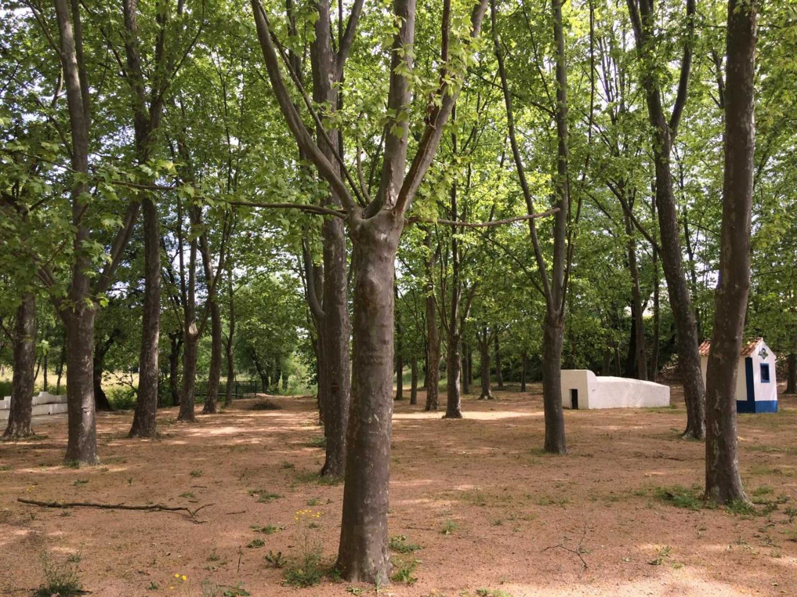 Gift card for Termas da Sulfurea