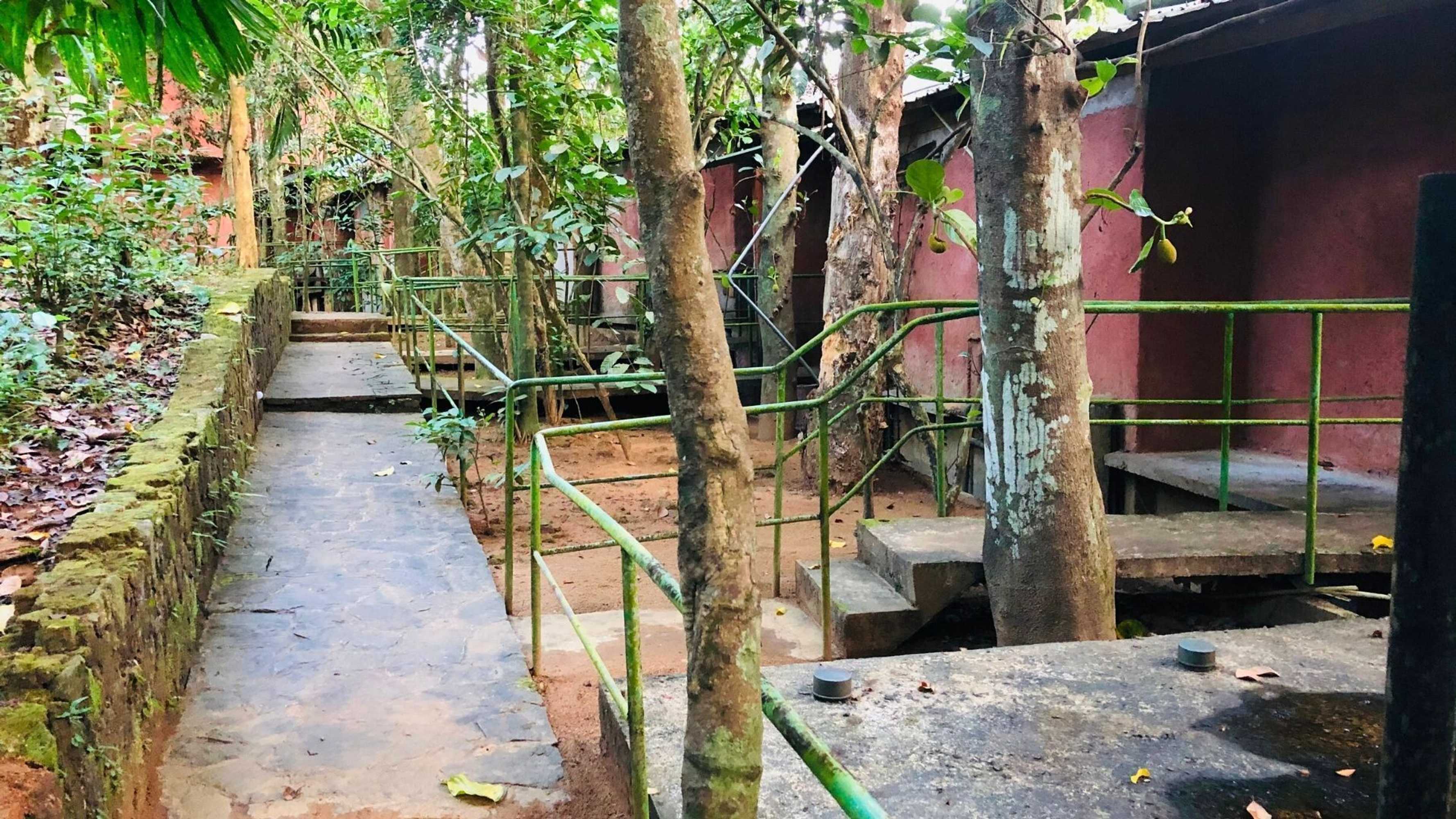 Gift card for Ceylon Nature Hostel Kitulgala Gift card for Ceylon Nature Hostel Kitulgala