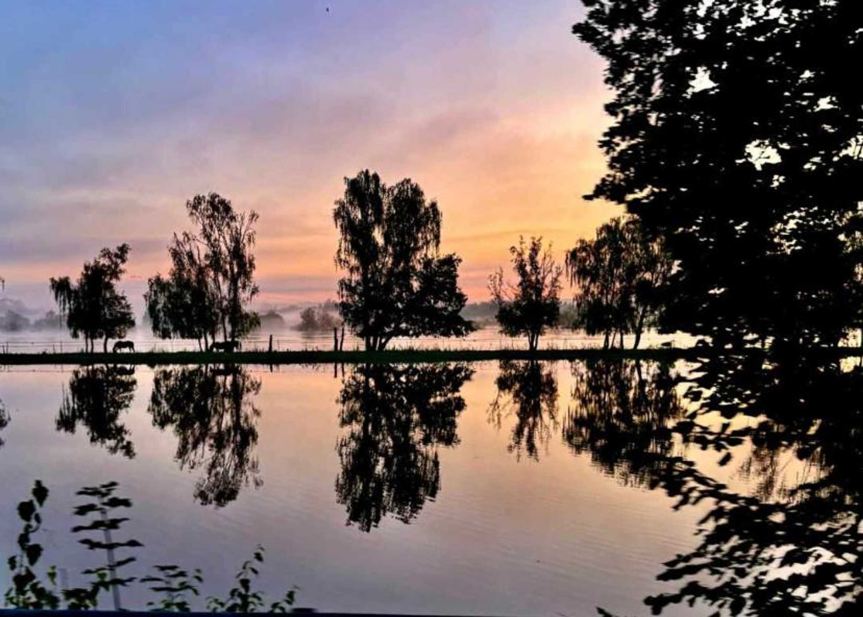 Gift card for Western-Inn