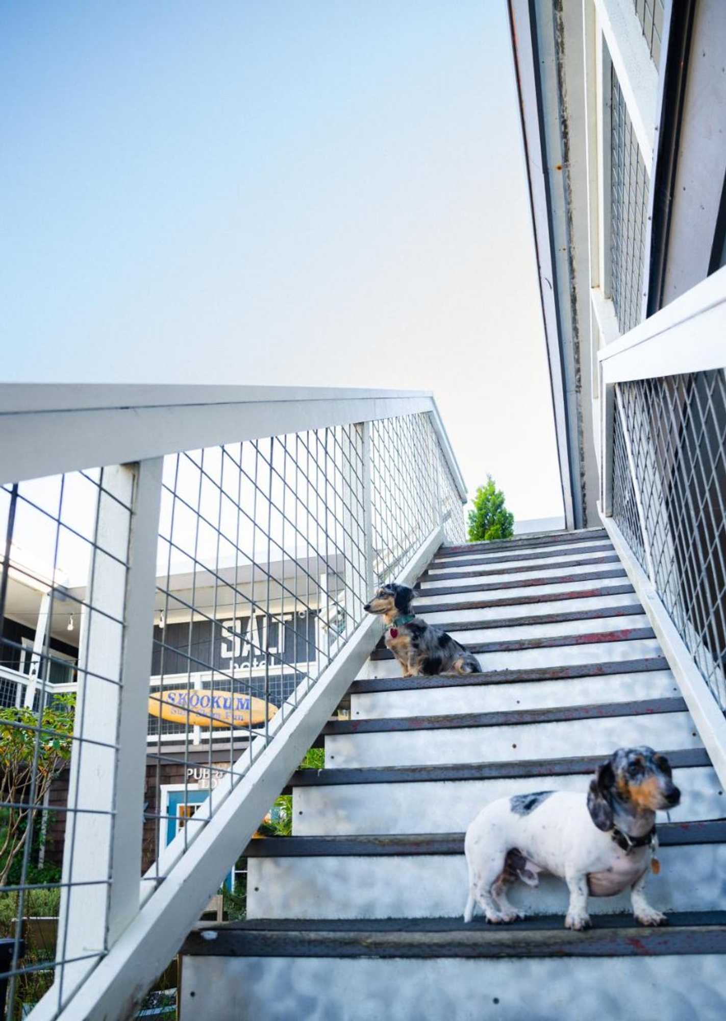 Gift card for Salt Hotel