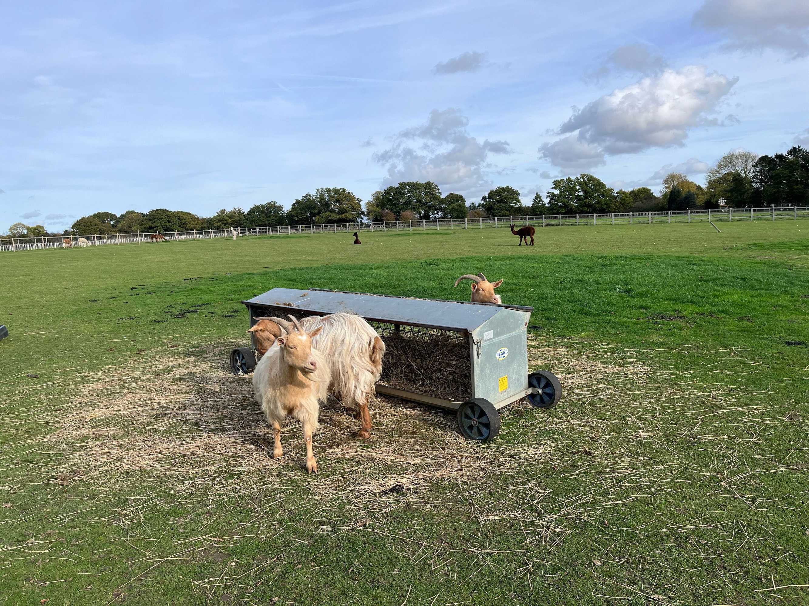 Gift card for Coltsfoot Country Retreat