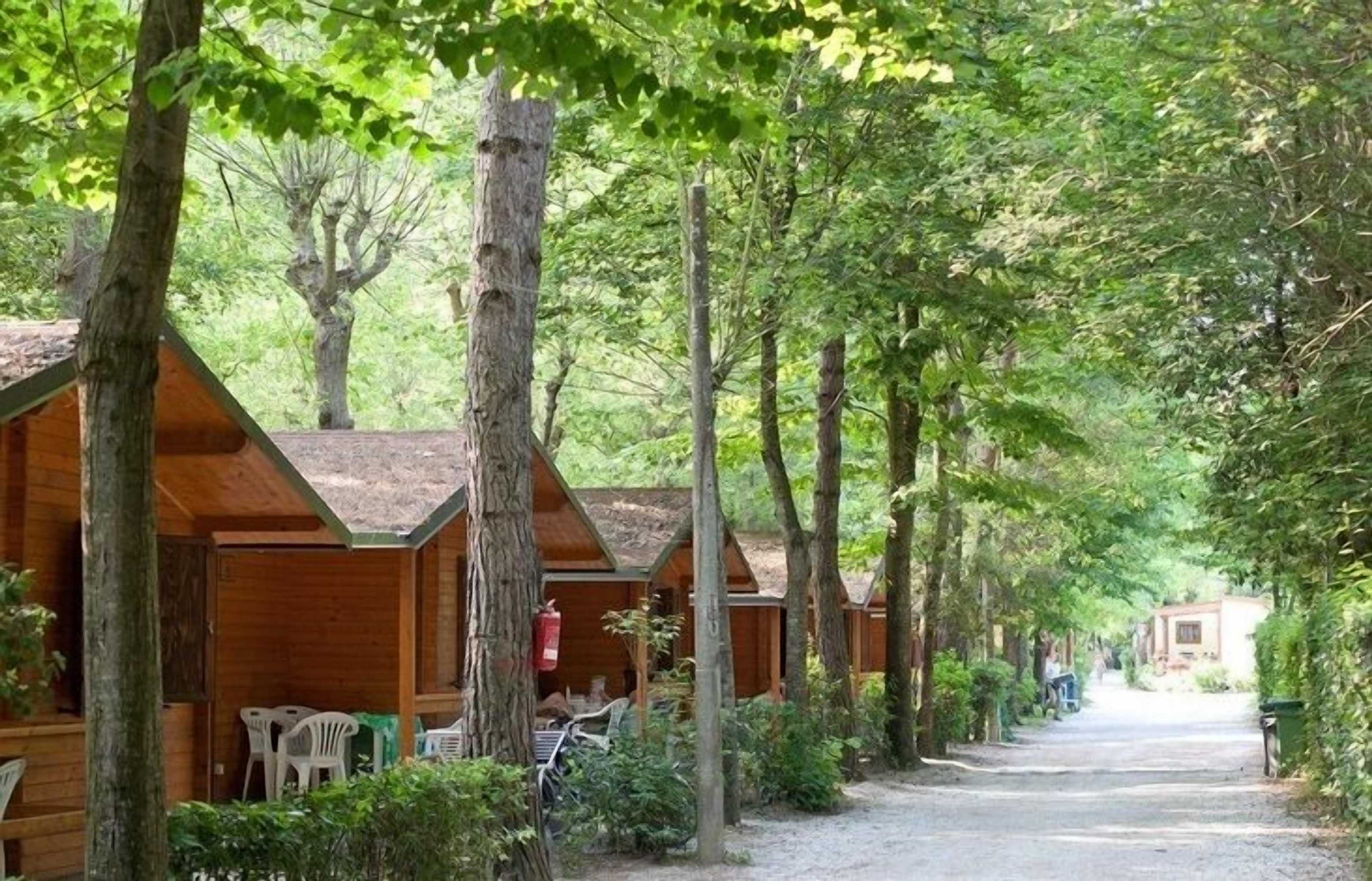 Gift card for Bosco Verde Camping Gift card for Bosco Verde Camping