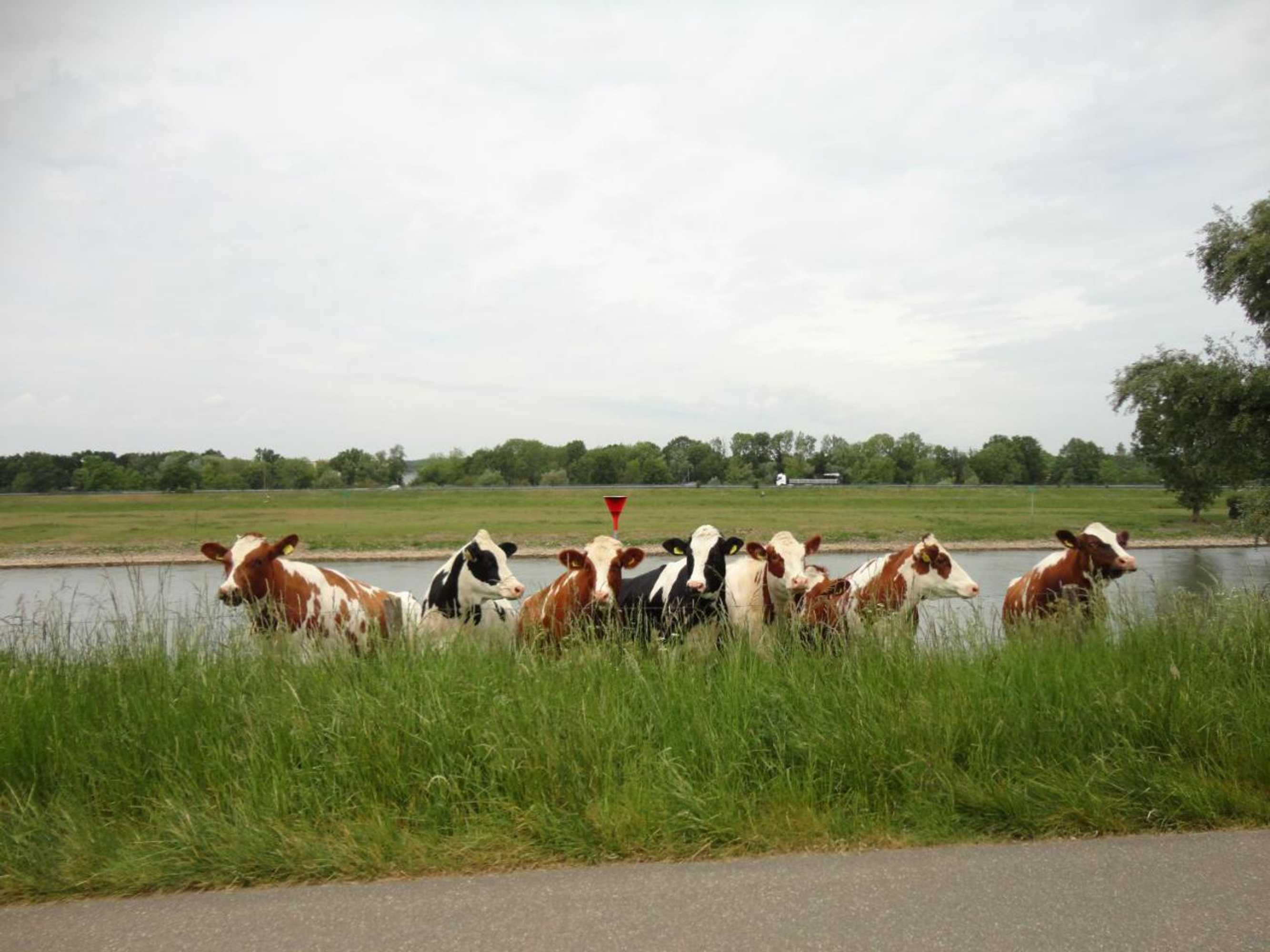 Gift card for Chalet Demi