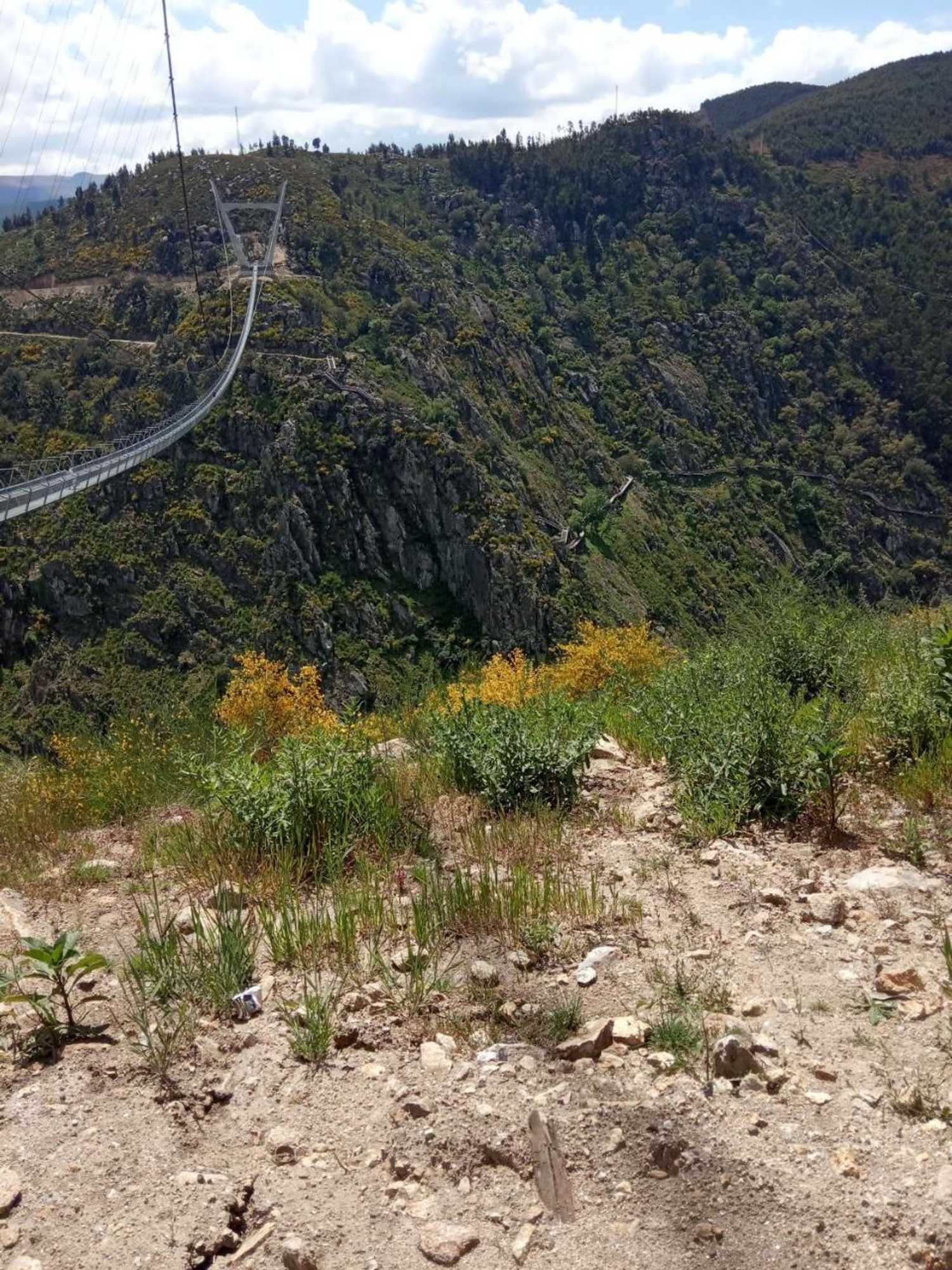 Gift card for Casa do Passadiço - Alvarenga