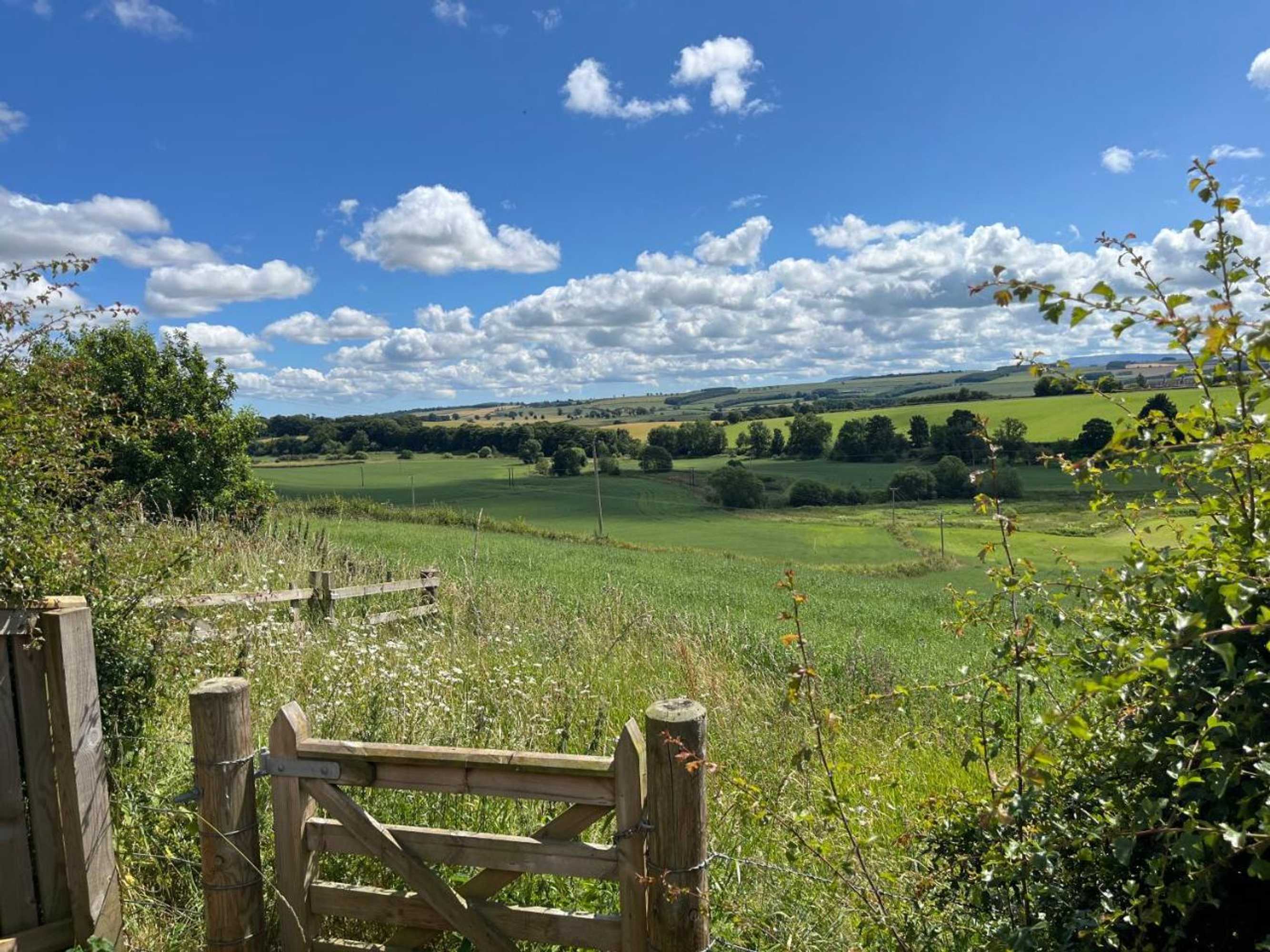 Gift card for Plumtree Cottage